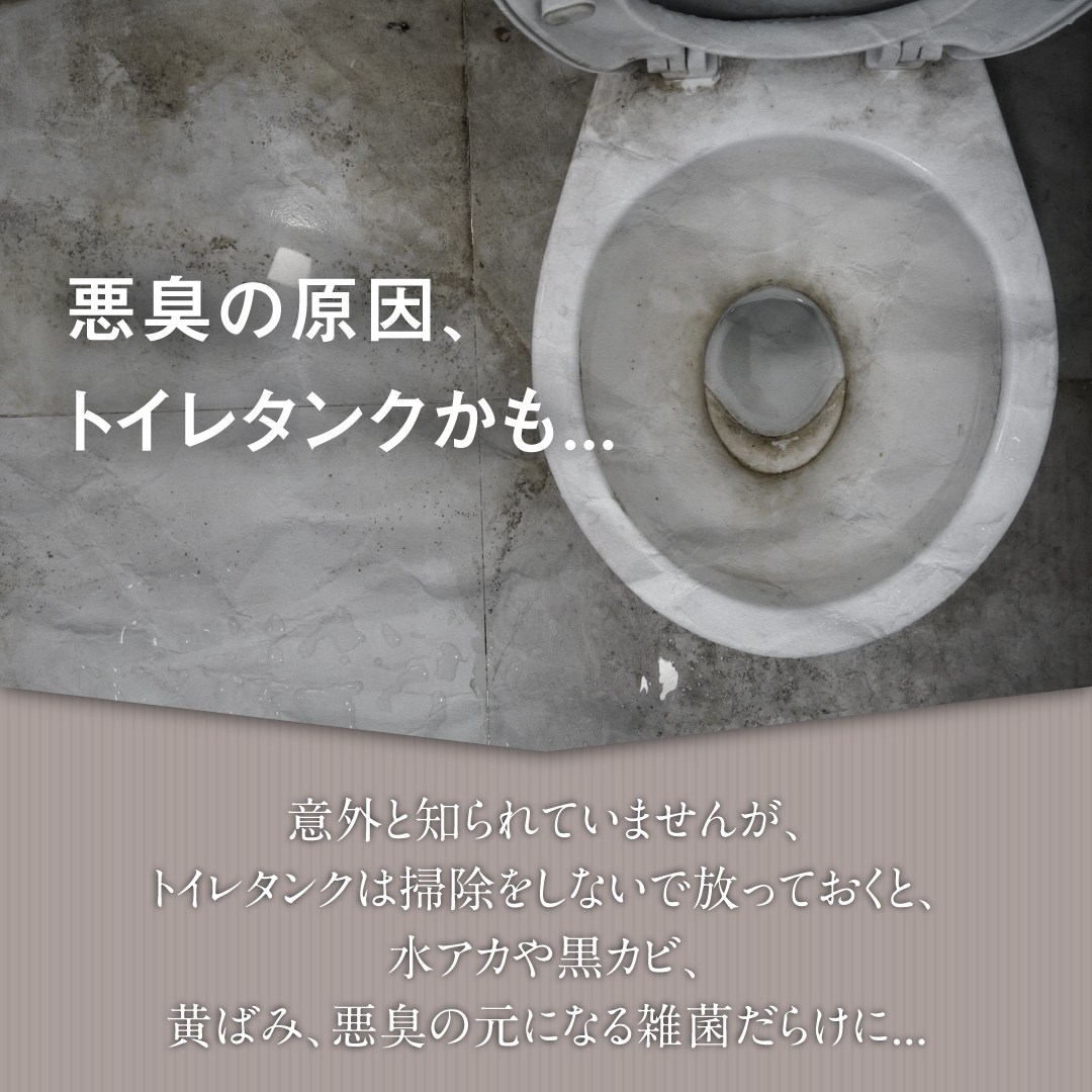 トイレタンクの洗浄剤