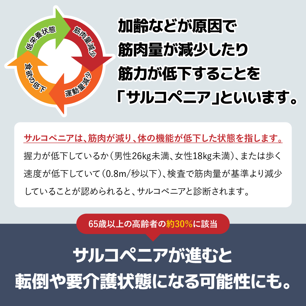 [最新モデル/正規品]カルフット アシスト ステップ パッド カラー: グレー