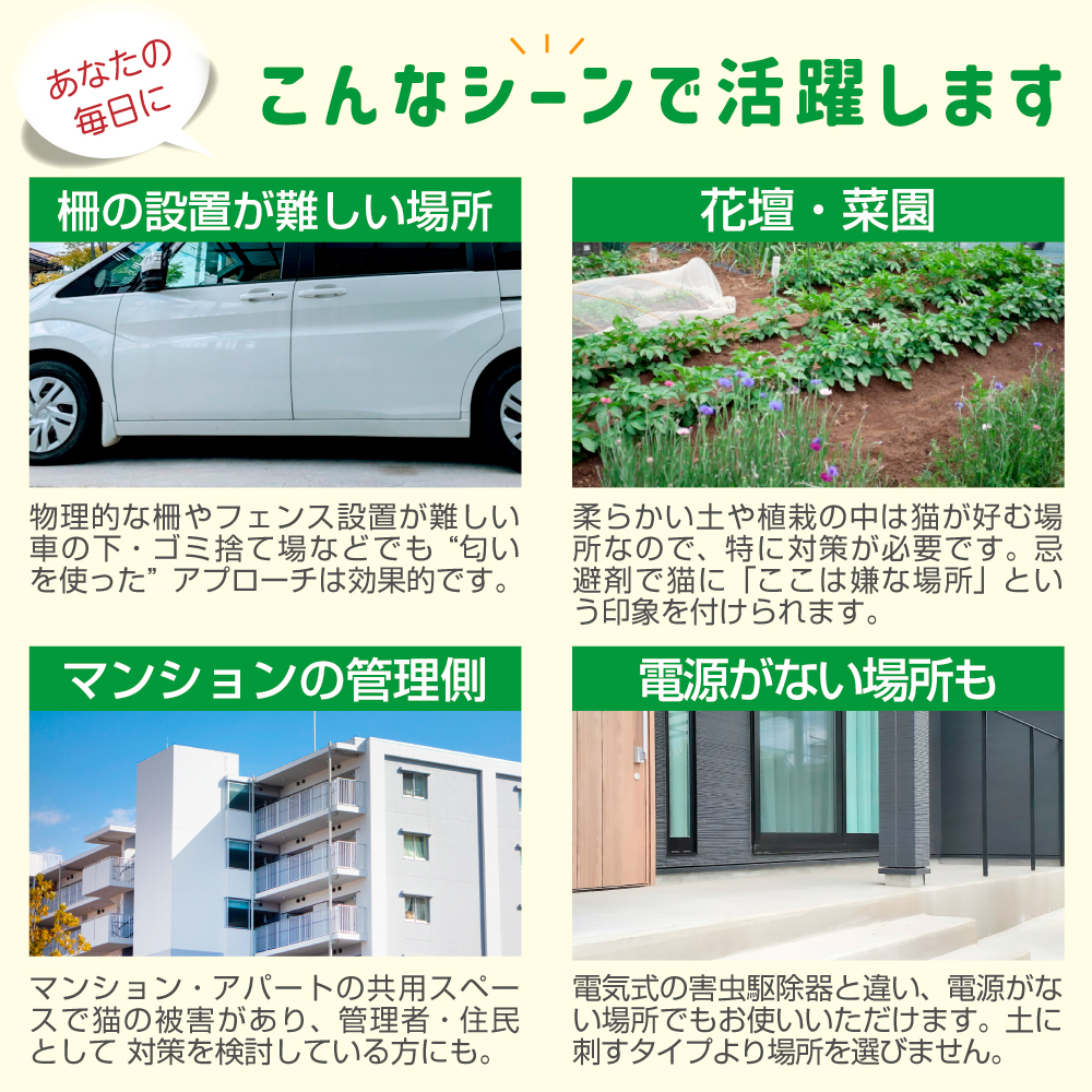 キャットおどろく　ノラ猫バイバイ！