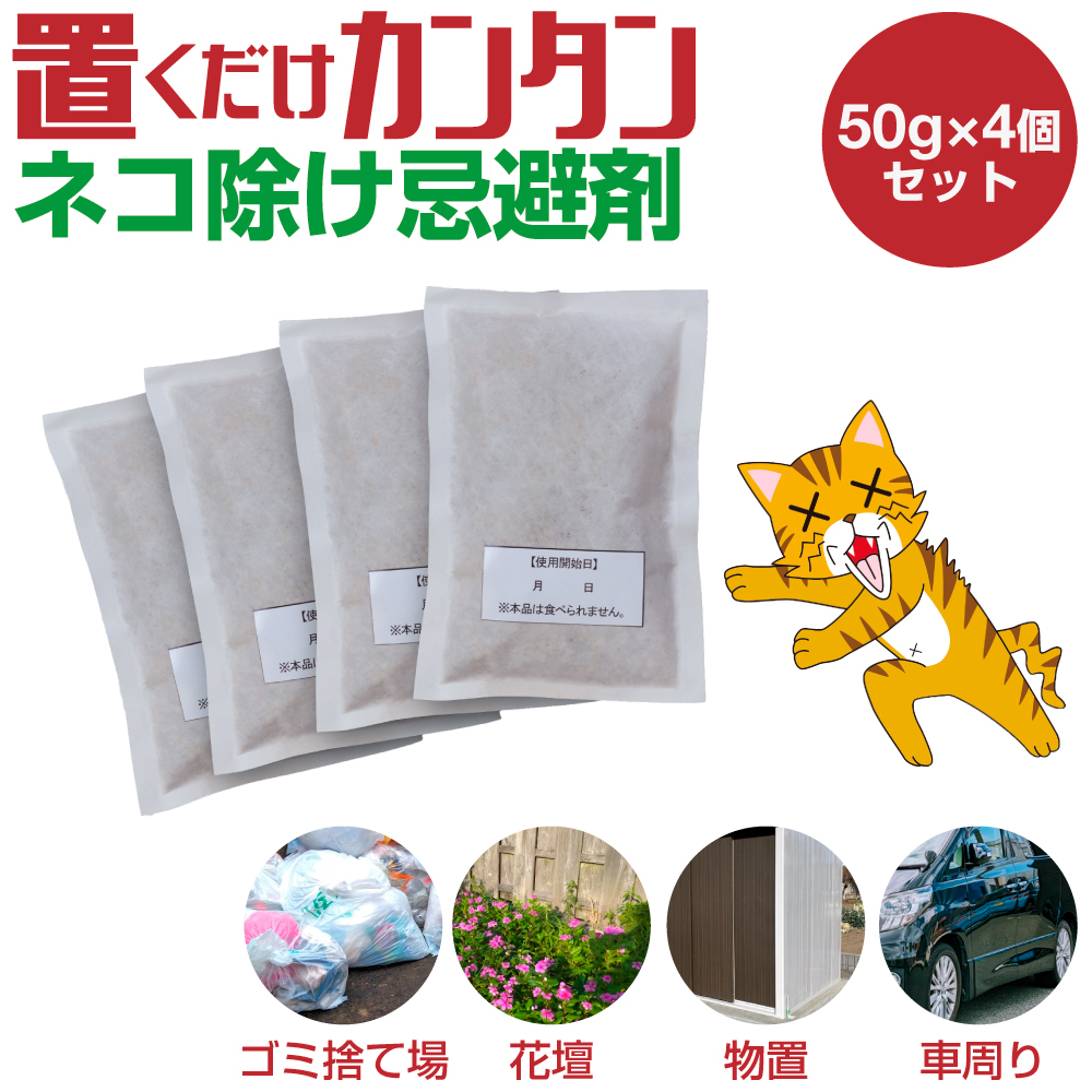 キャットおどろく　ノラ猫バイバイ！