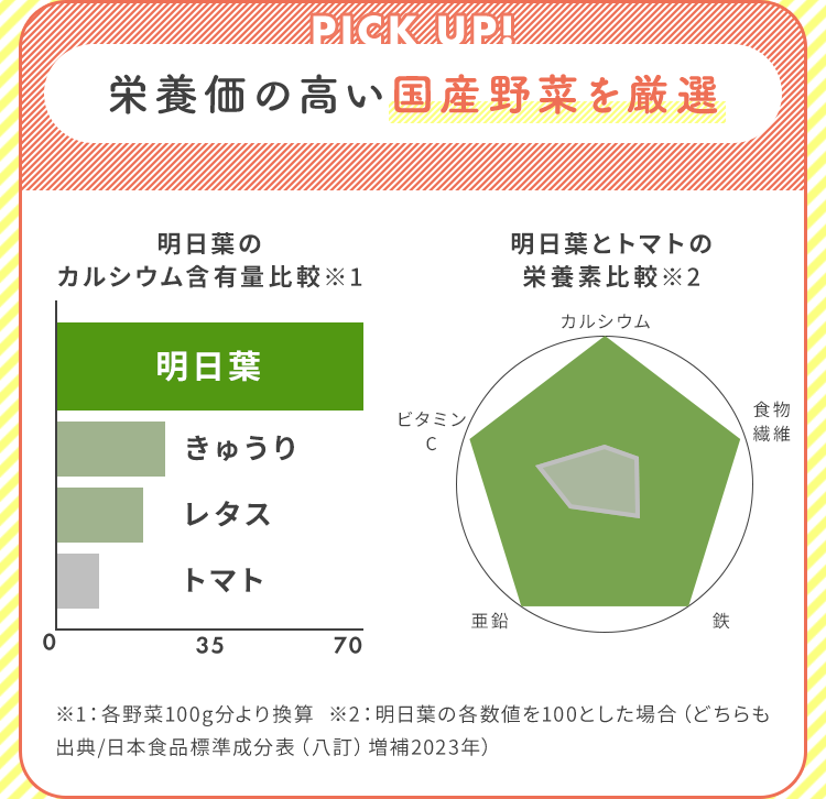 栄養価の高い国産野菜を厳選