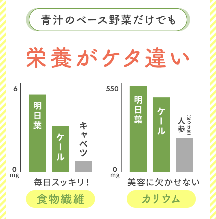青汁のベース野菜だけでも栄養がケタ違い