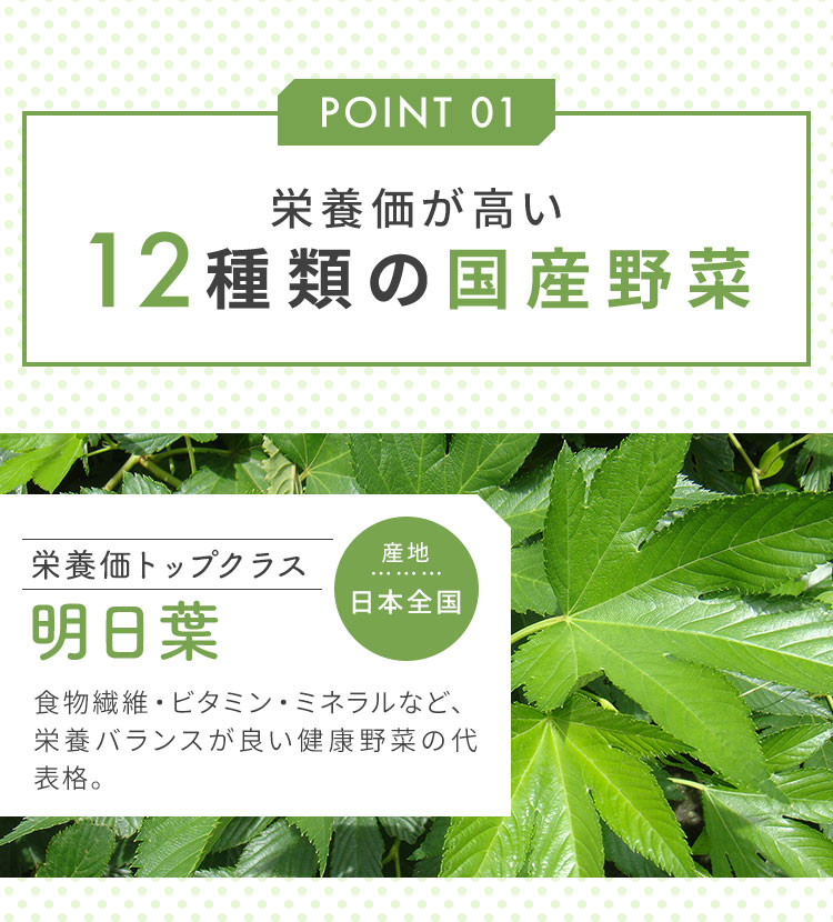 栄養価が高い12種類の国産野菜