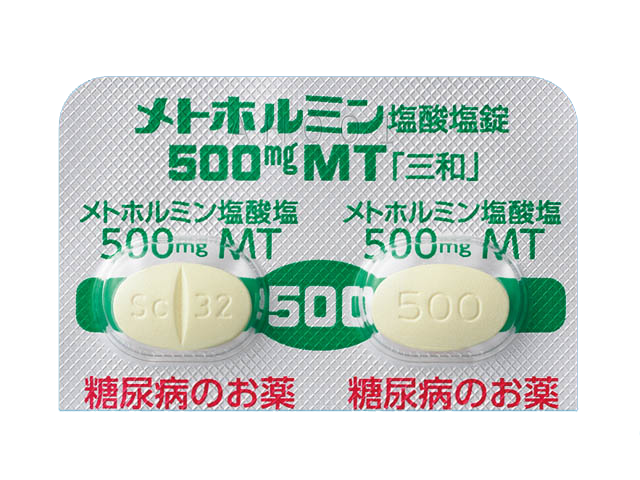 メトホルミン 6ヶ月分 【500mg】