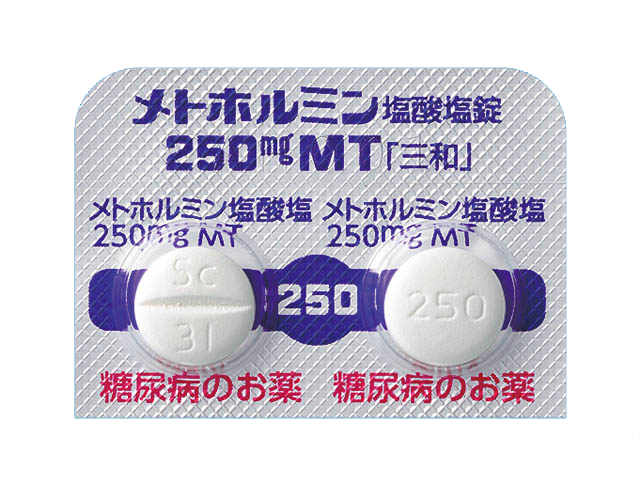 メトホルミン 3ヶ月分 【250mg】