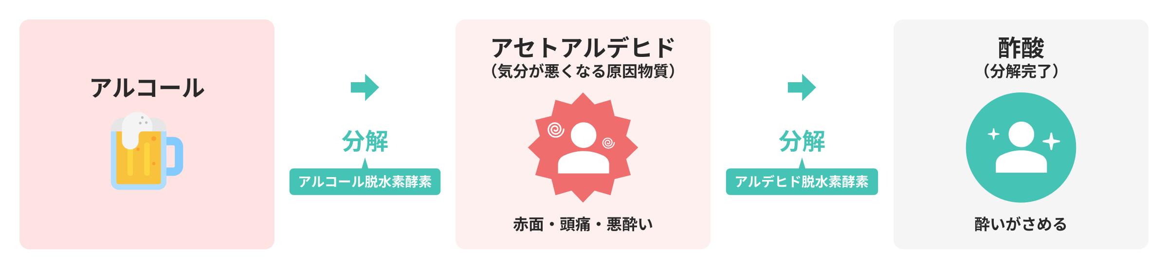 二日酔いの仕組み