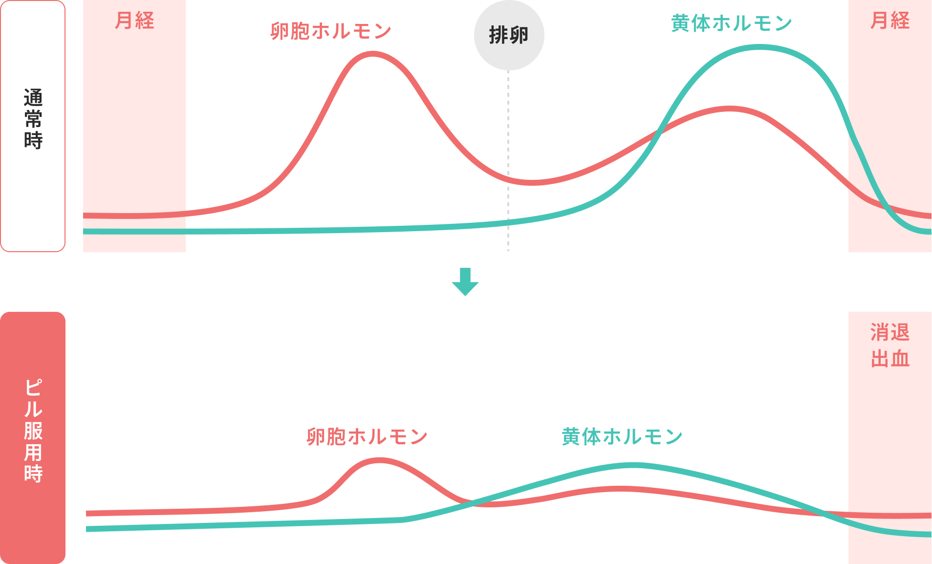 低容量ピルの仕組み