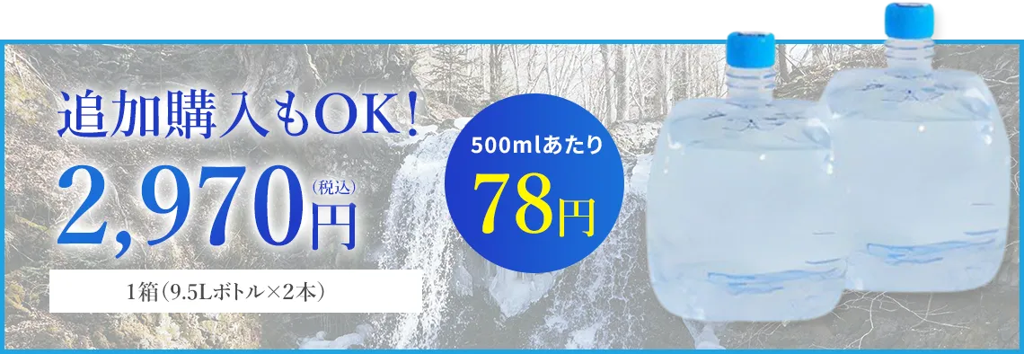 追加購入もOK！2,970円（税込）