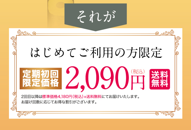 はじめてご注文の方限定2090円送料無料