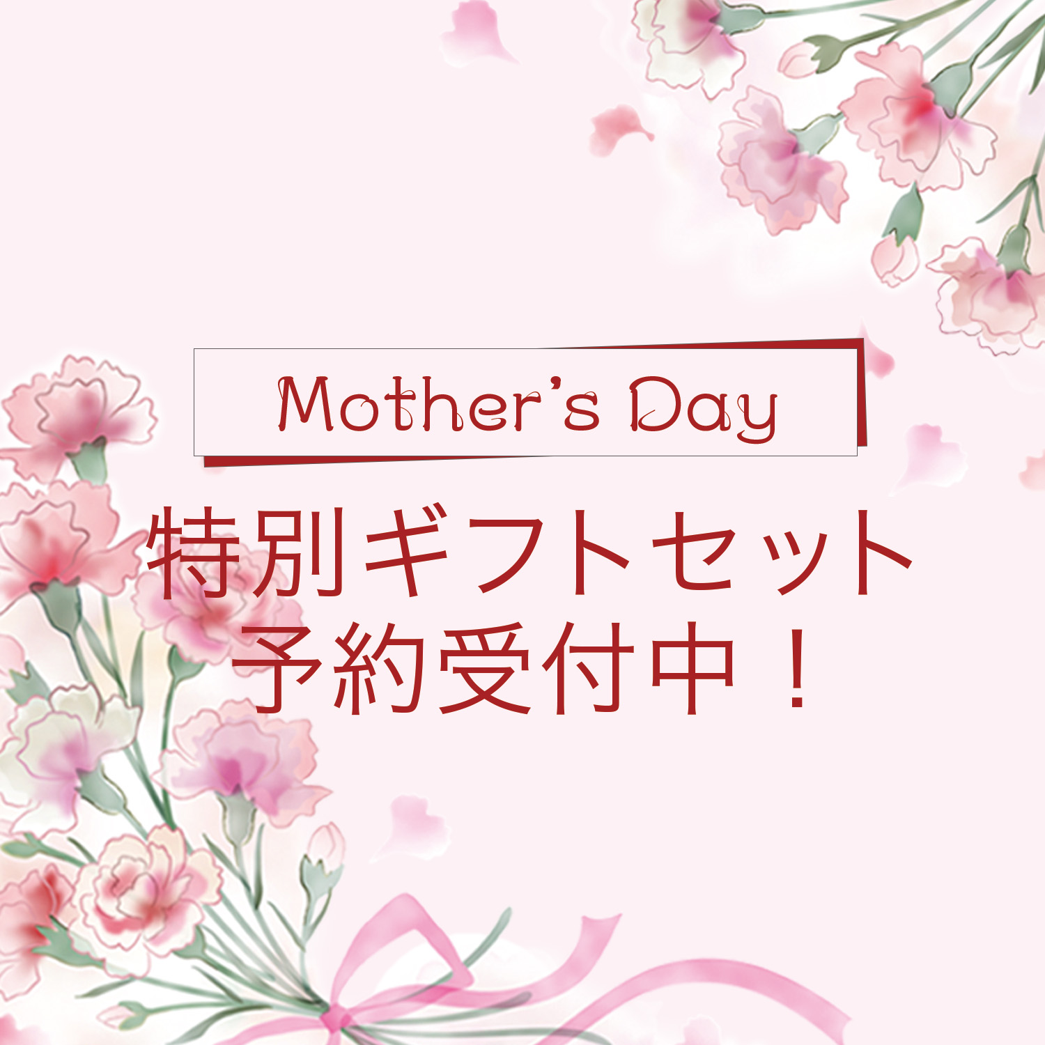 【予約】レンジメート プロ 母の日ギフトセット