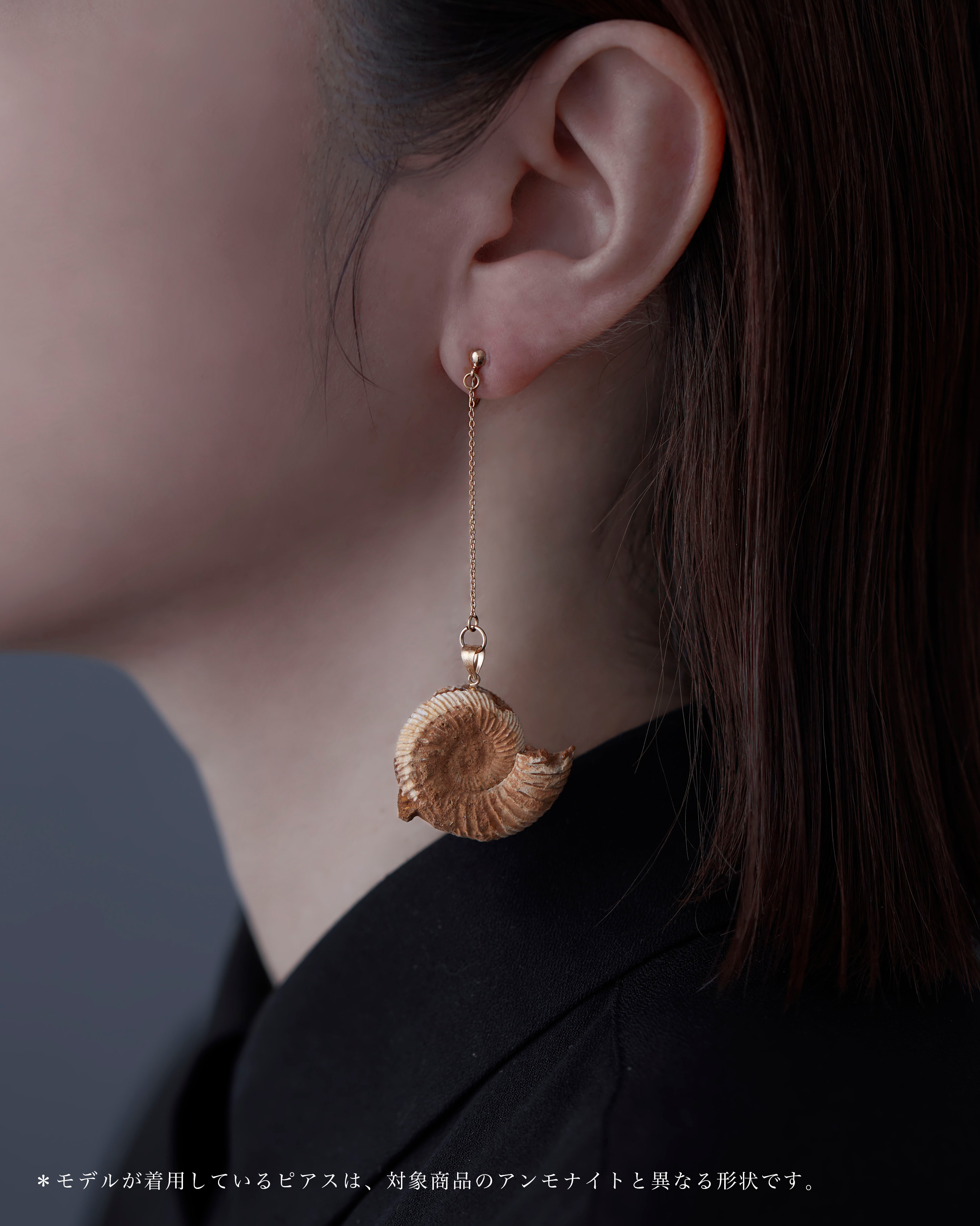 アンモナイト イヤリング K14GF No.003