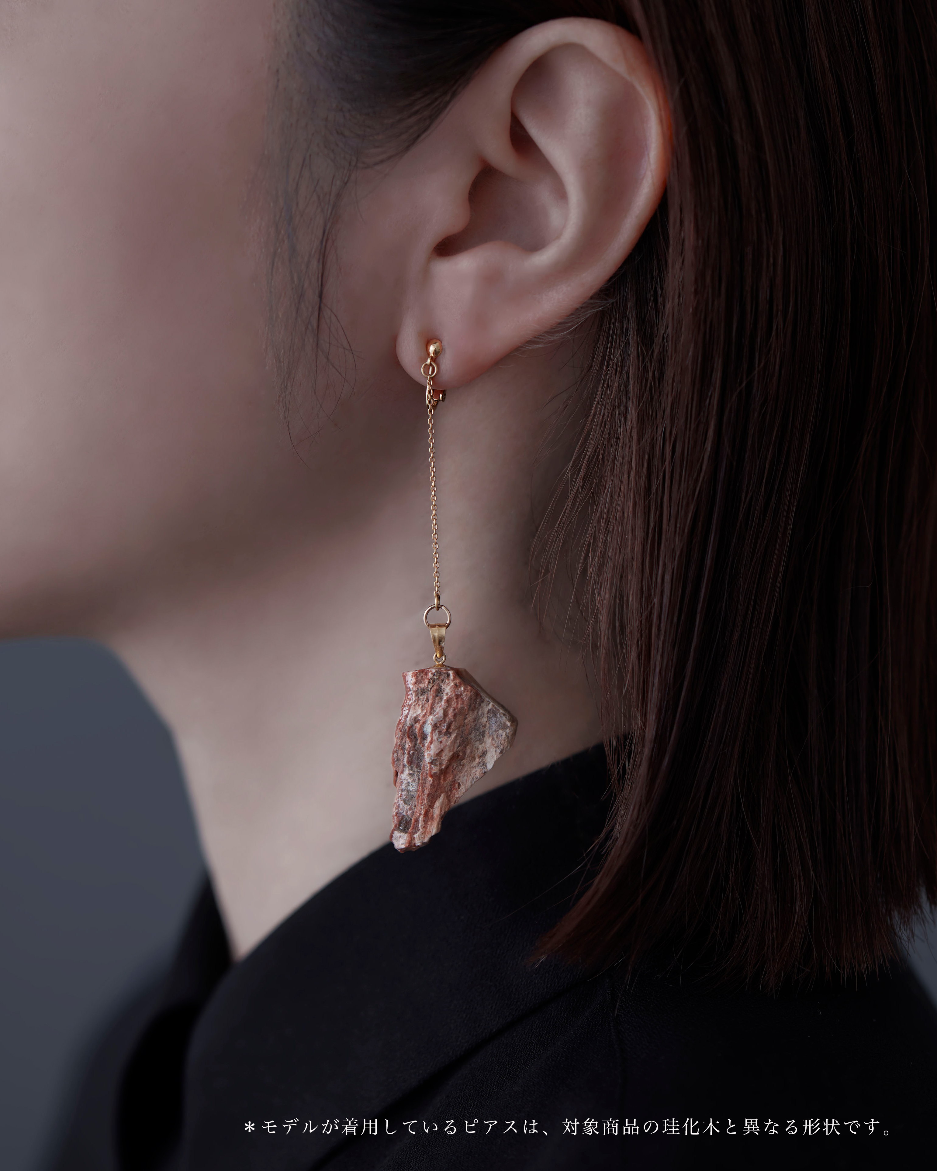  珪化木 イヤリング K14GF No.002