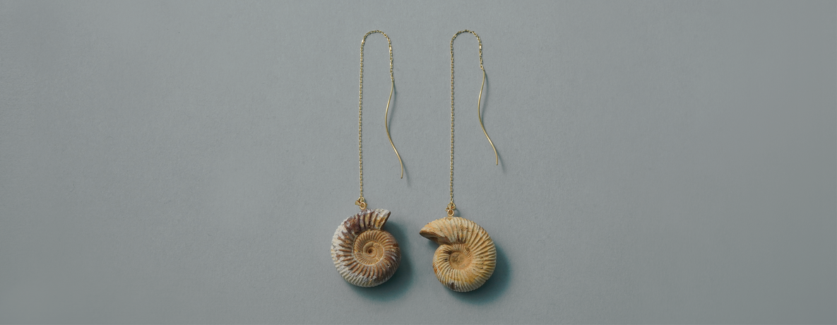 アンモナイト ペリスフィンクテス ピアス K10（10金） - Ammonites Perisphinctes pierce