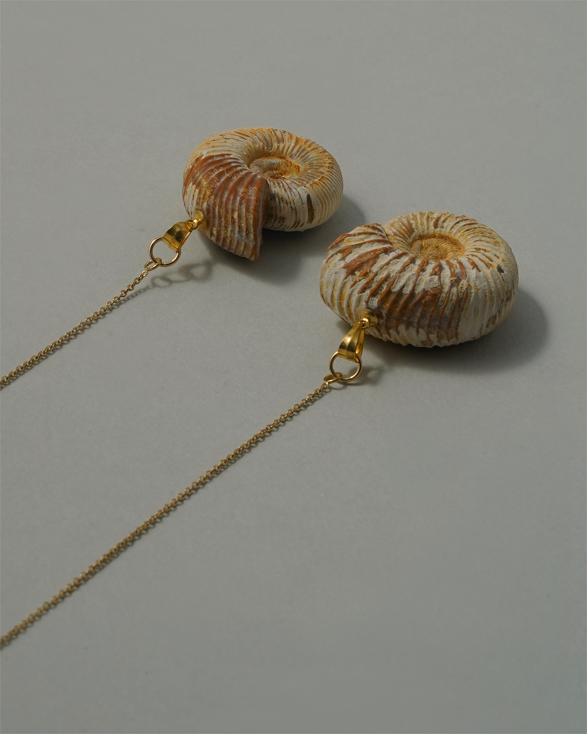 アンモナイト ピアス K14GF No.005
