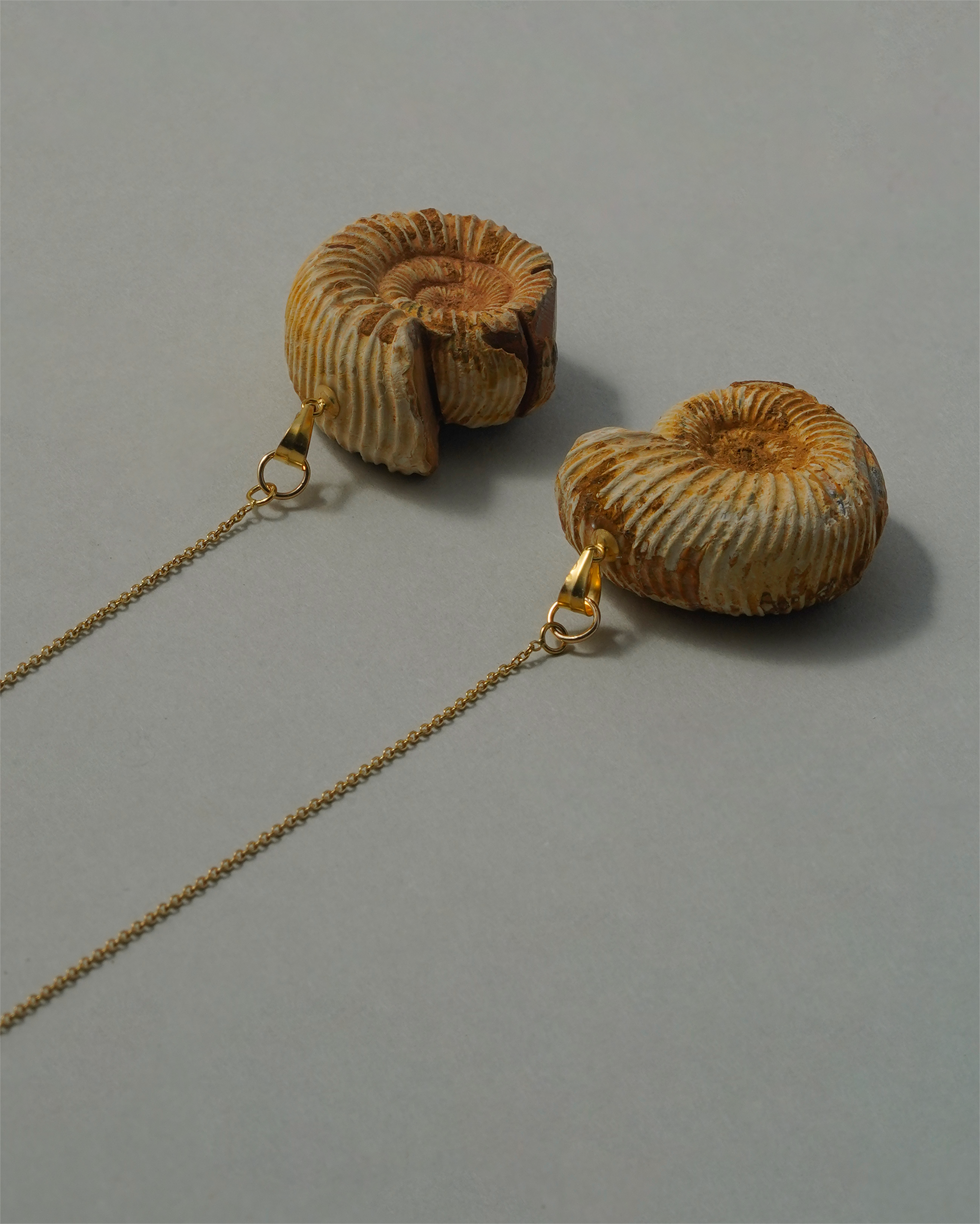 アンモナイト ピアス K14GF No.002