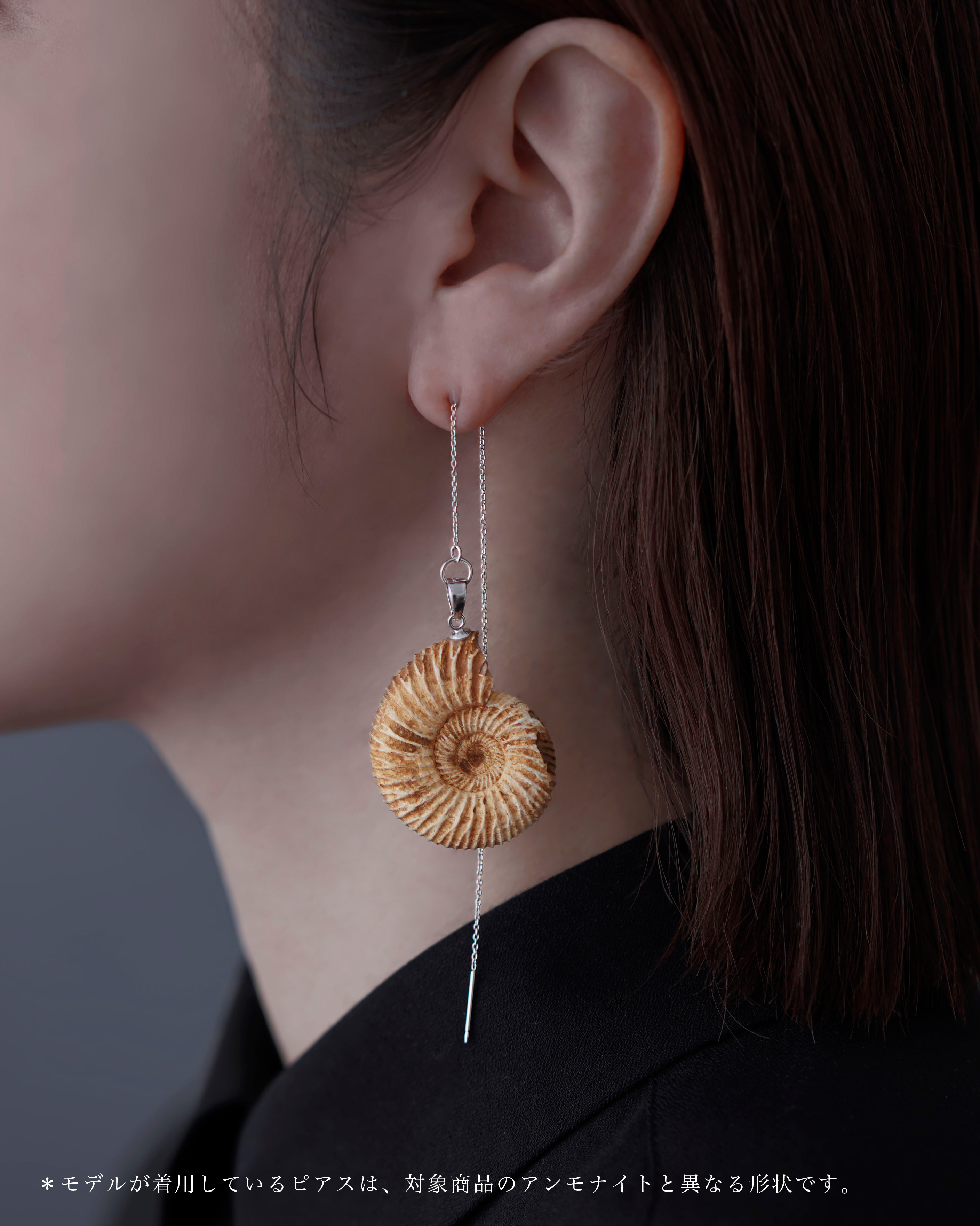 アンモナイト ピアス SUS SV NFRP No.001