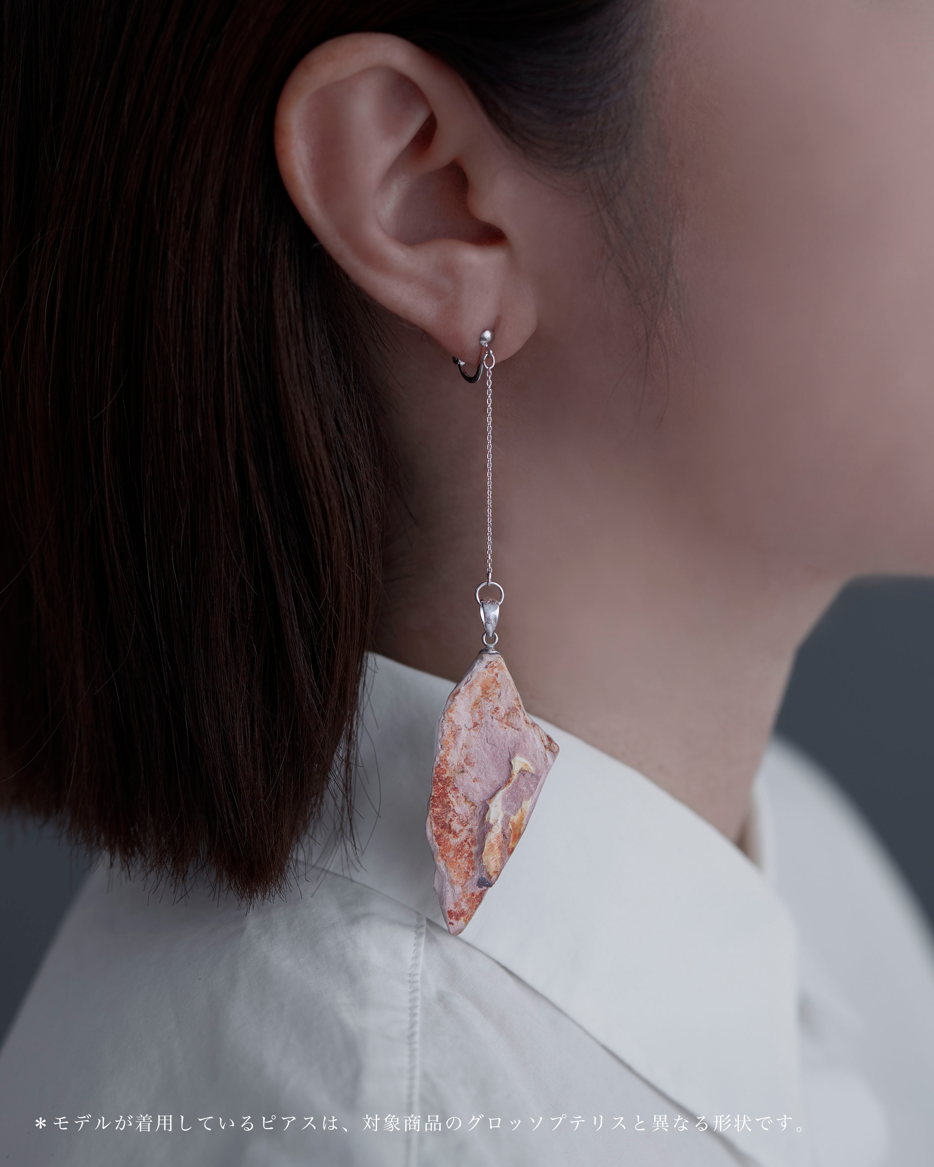 グロッソプテリス イヤリング SUS NFRP No.002
