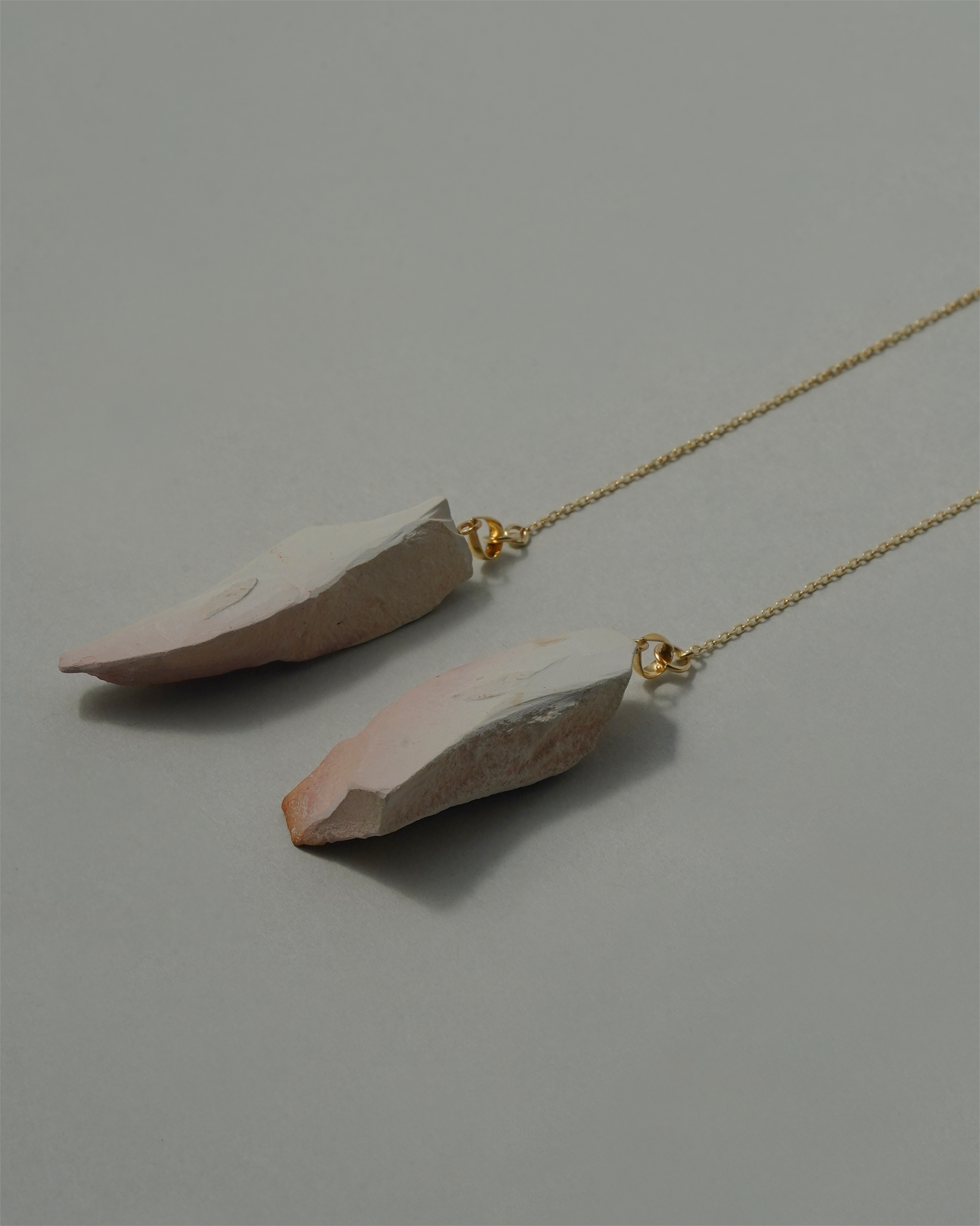 グロッソプテリス ピアス K10 No.00２