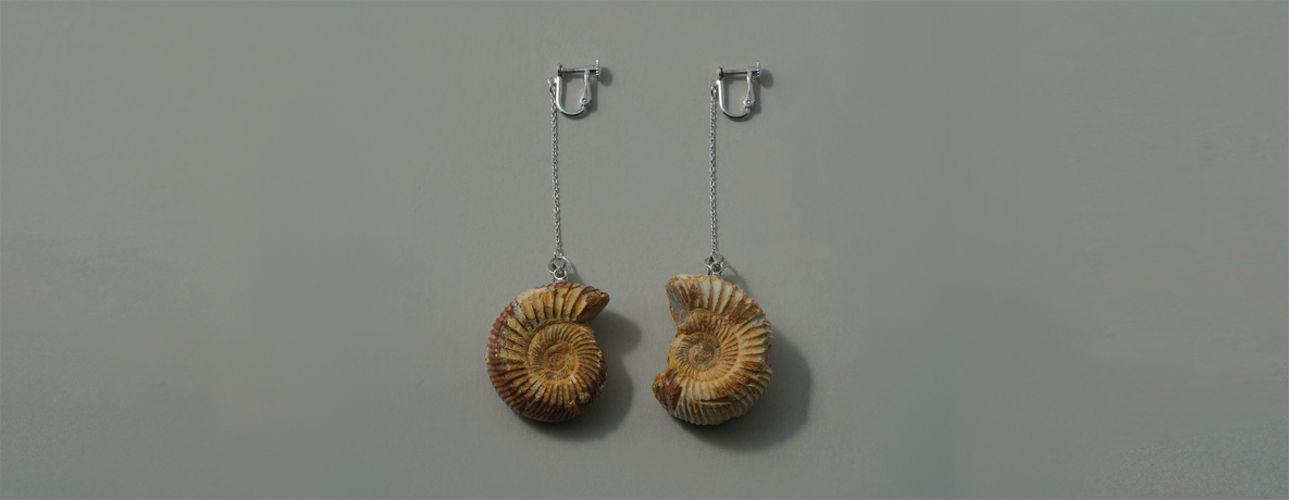 アンモナイト ペリスフィンクテス イヤリング SUS SV （ステンレス・シルバー）- Ammonites Perisphinctes earring