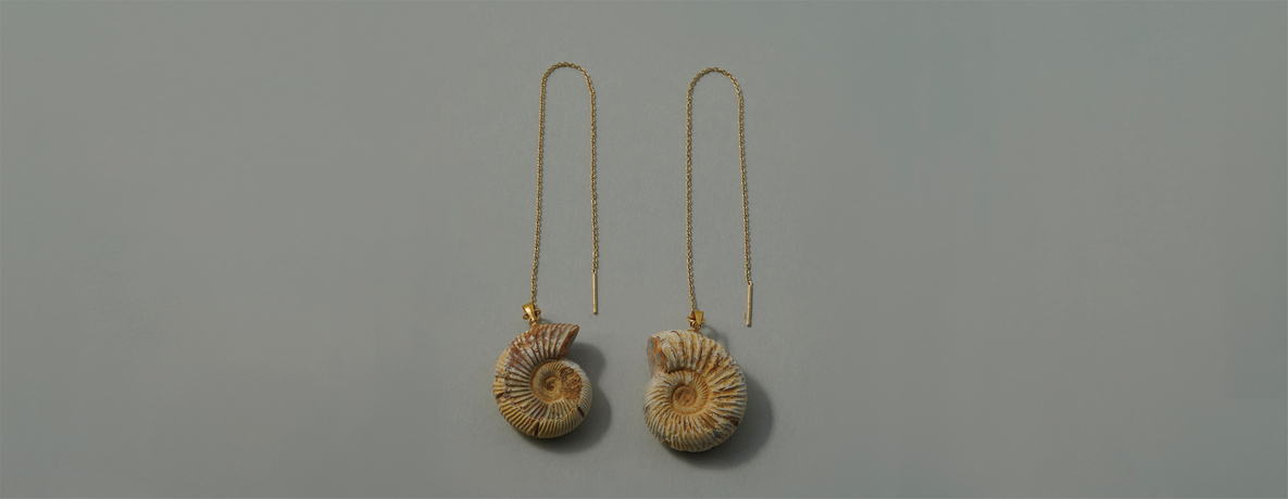 アンモナイト ペリスフィンクテス ピアス K14GF （ゴールドフィルド）- Ammonites Perisphinctes pierce  