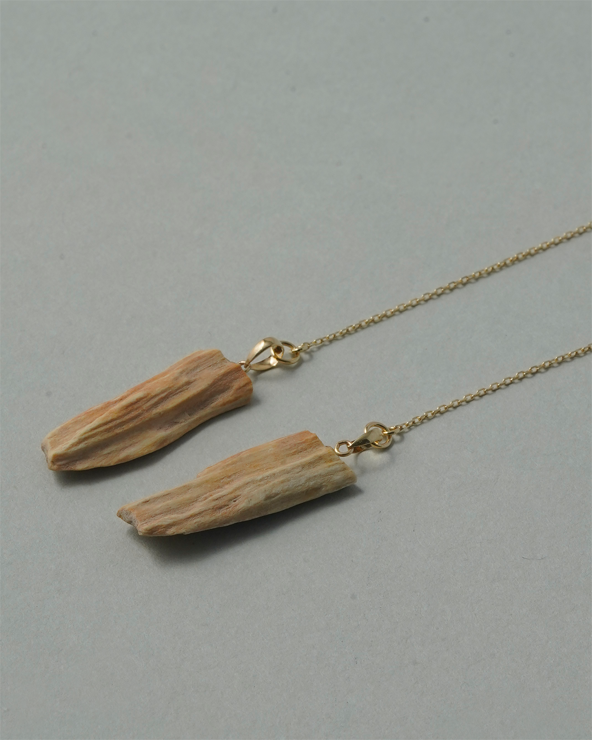 珪化木 ピアス K10 No.003