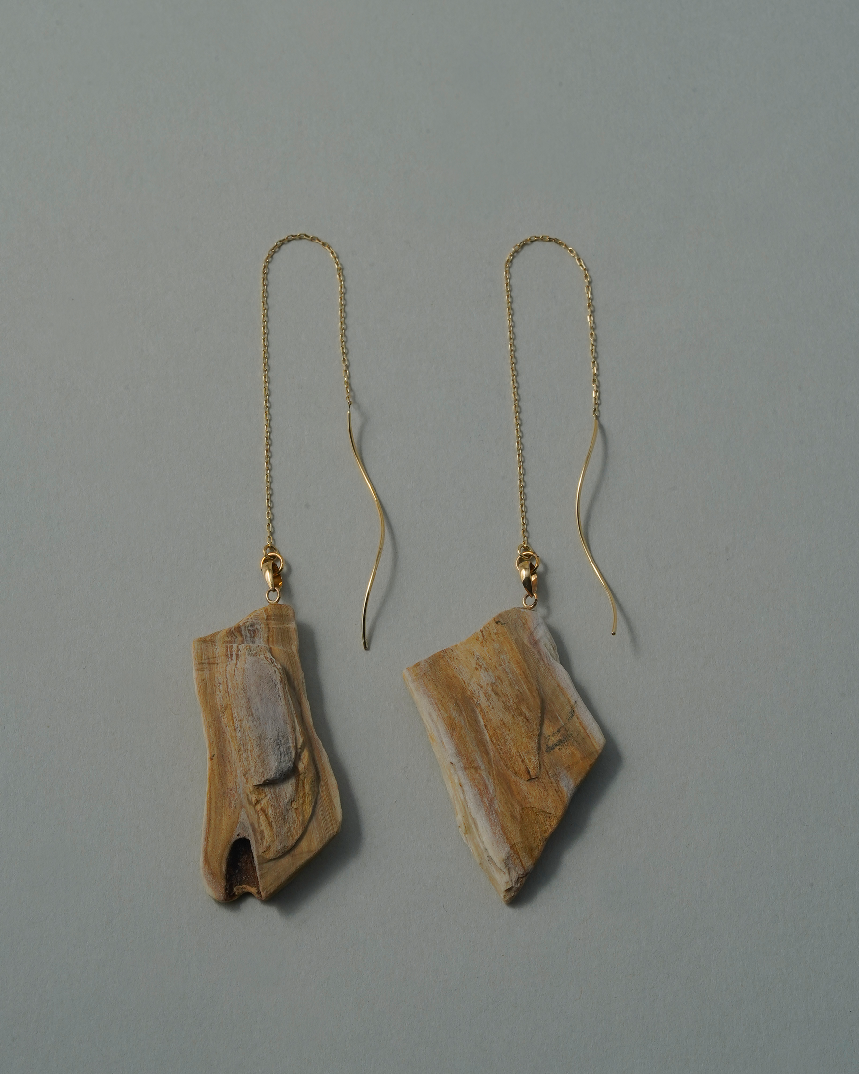 珪化木 ピアス K10 No.001
