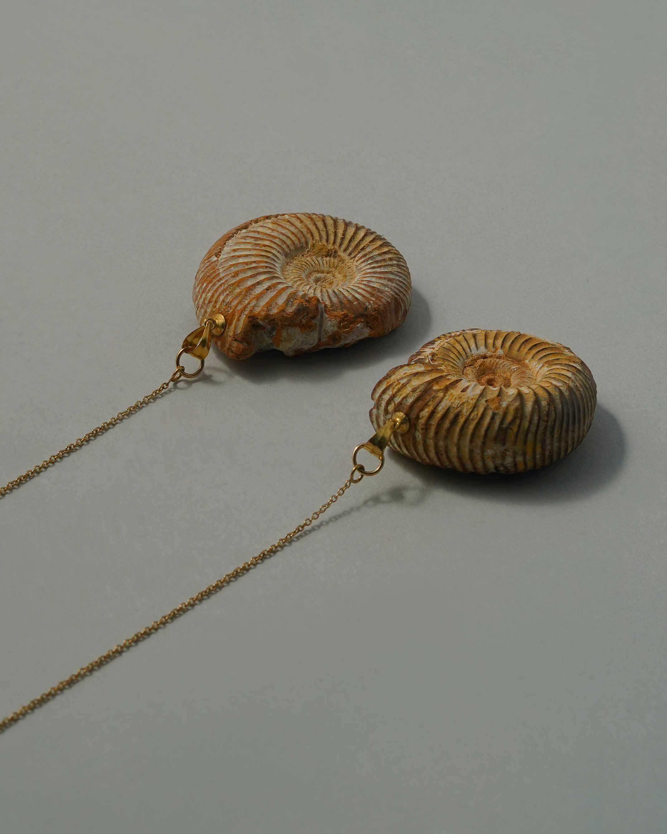 アンモナイト ピアス K14GF No.001