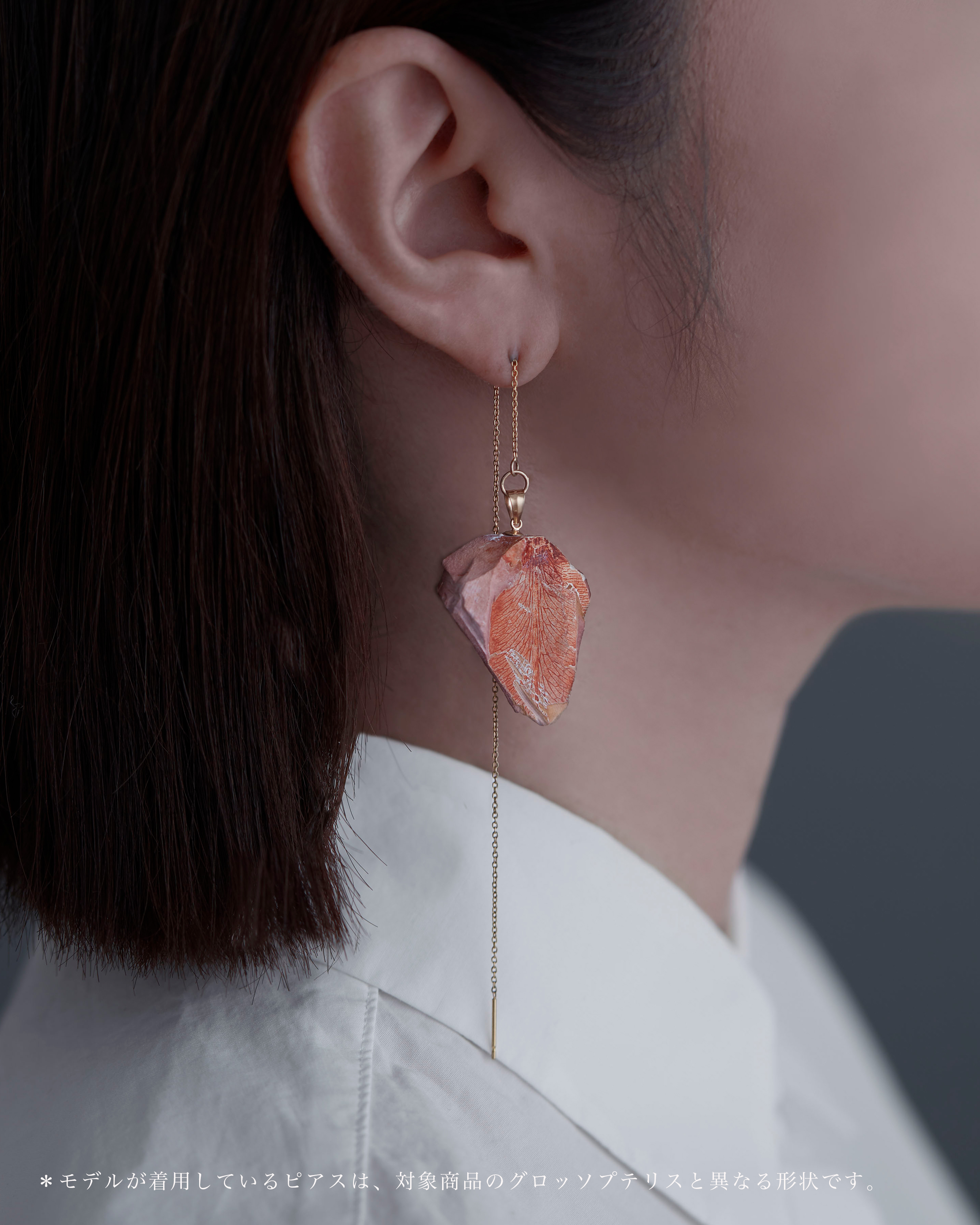 グロッソプテリス ピアス K1４GF No.002