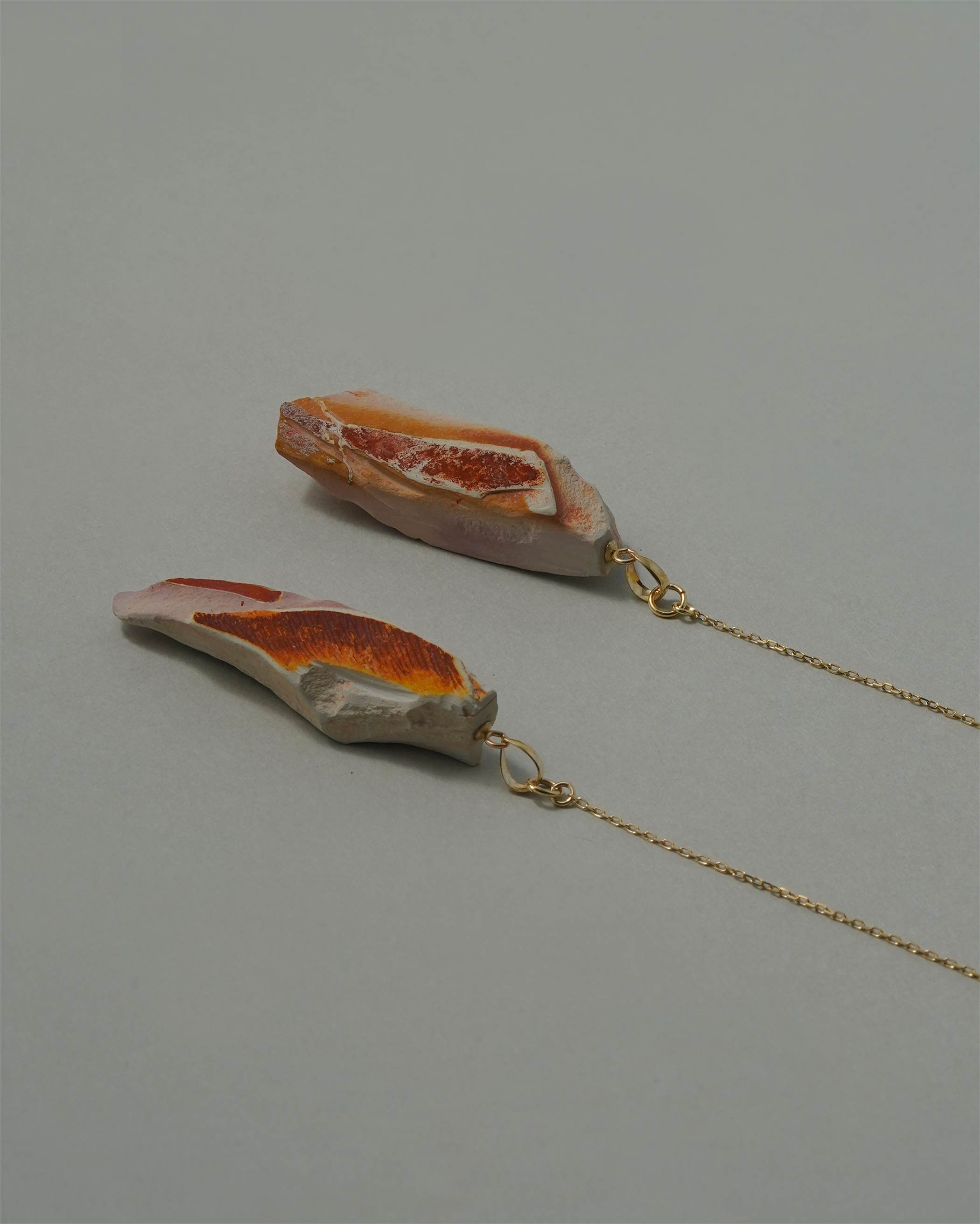 グロッソプテリス ピアス K10 No.00２