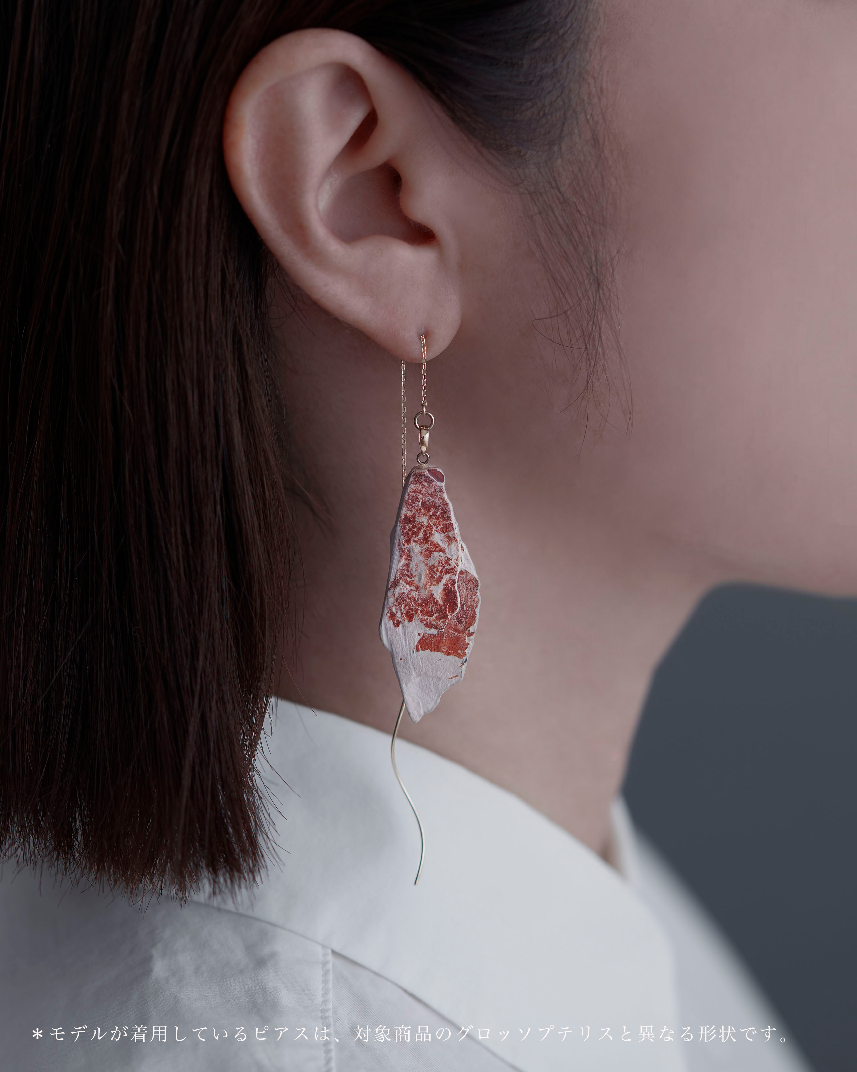 グロッソプテリス ピアス K10 No.003