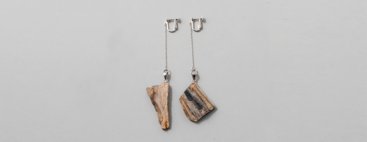 珪化木 イヤリング SUS SV （ステンレス・シルバー）- Petrified wood earring