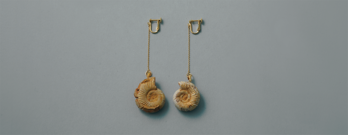 アンモナイト ペリスフィンクテス イヤリング K14GF（ゴールドフィルド） - Ammonites Perisphinctes earring