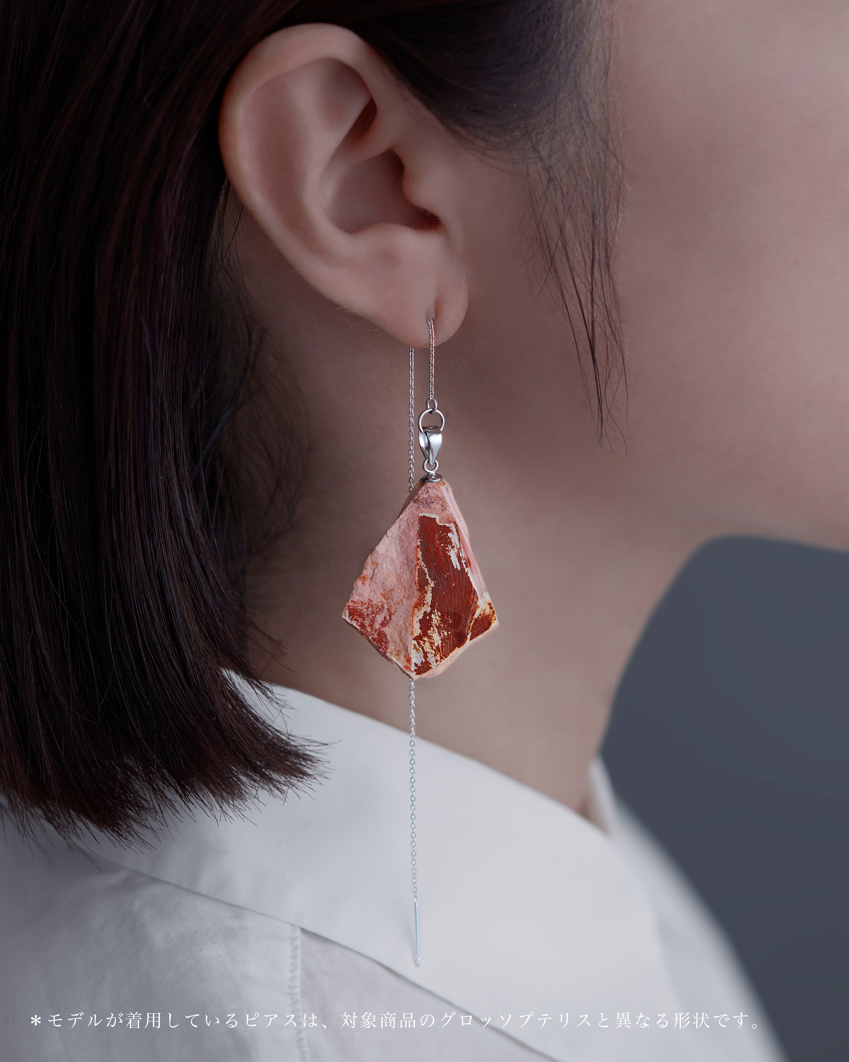 グロッソプテリス ピアス SUS SV NFRP No.003