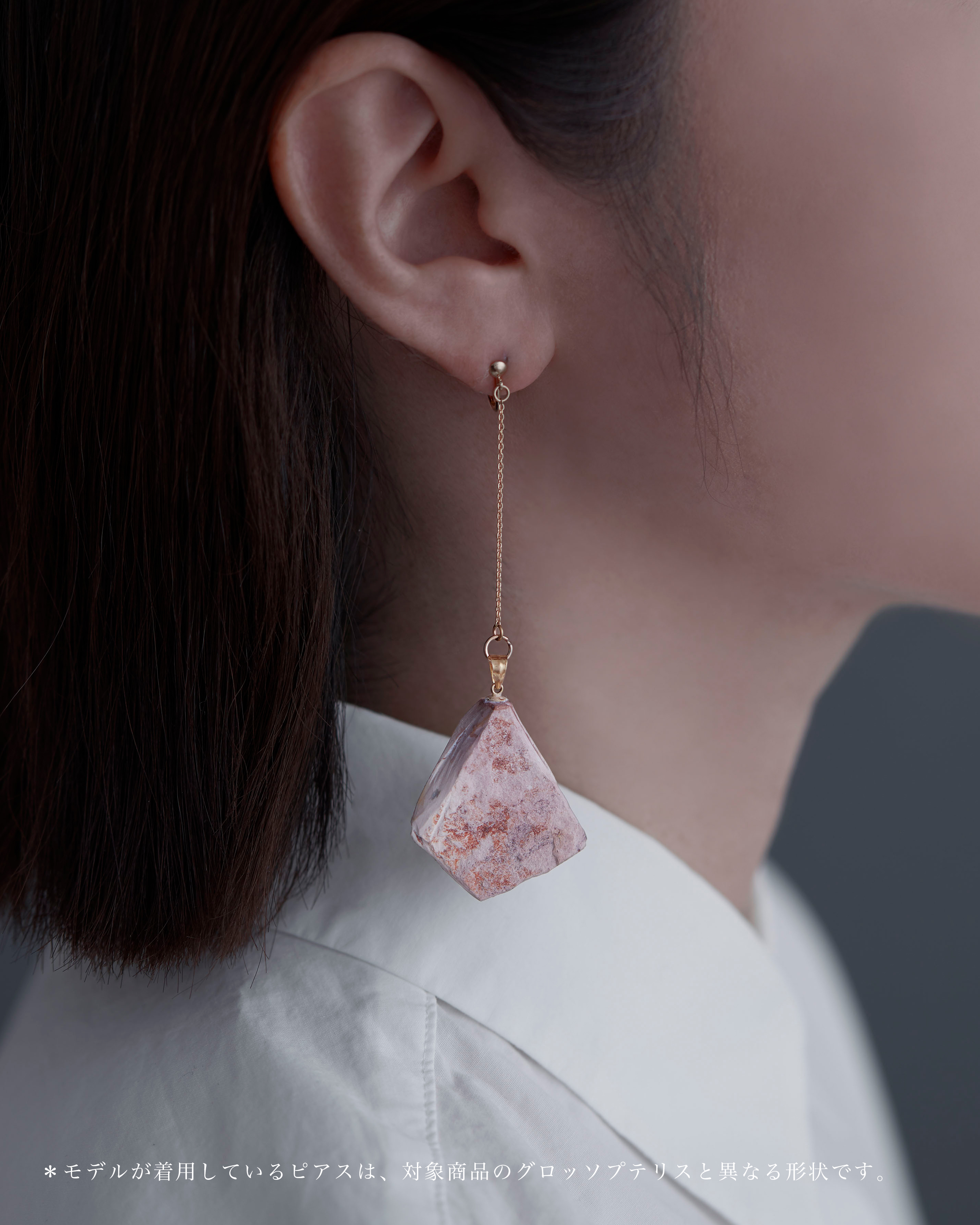 グロッソプテリス イヤリング K1４GF No.003