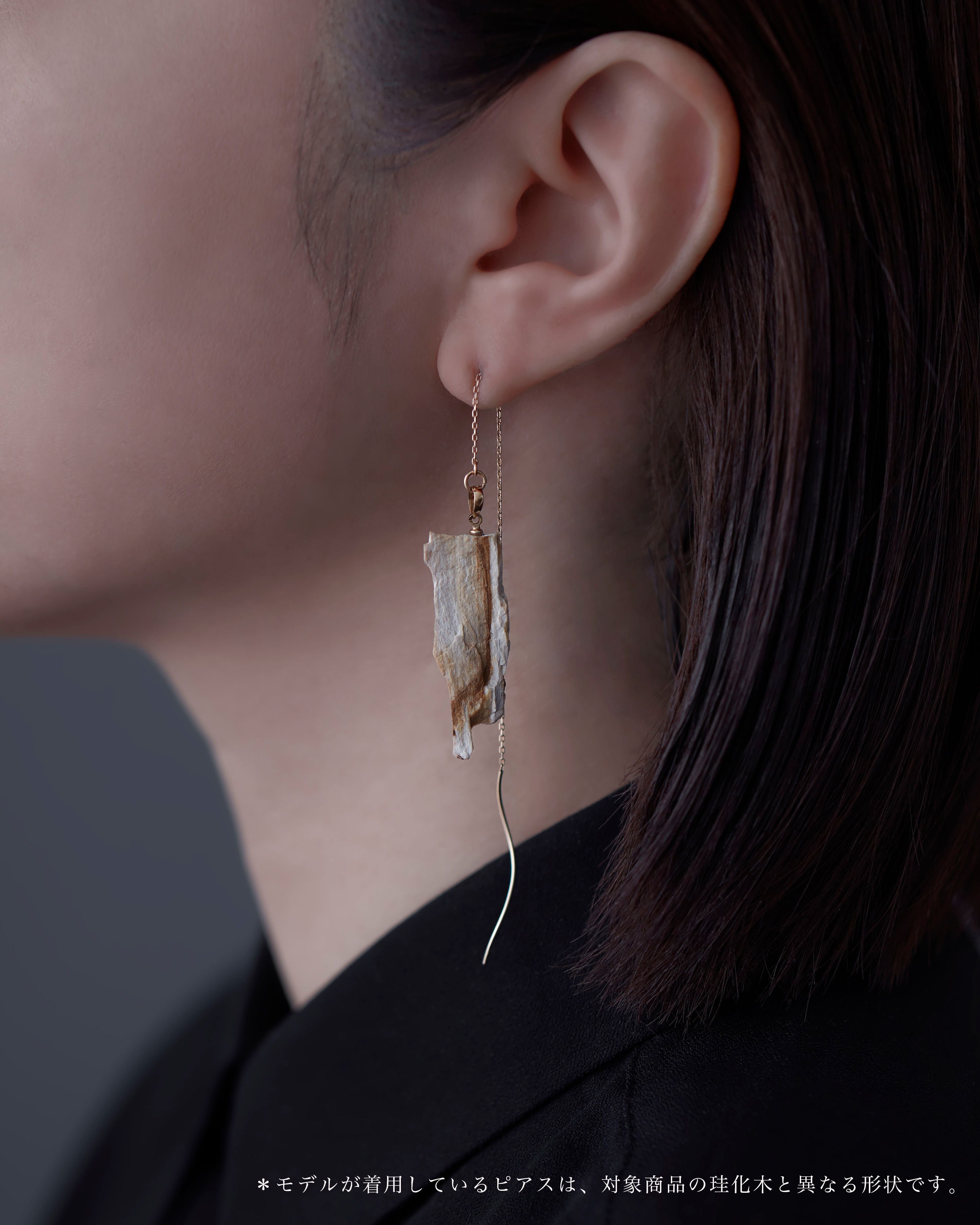 珪化木 ピアス K10（10 金）No.002