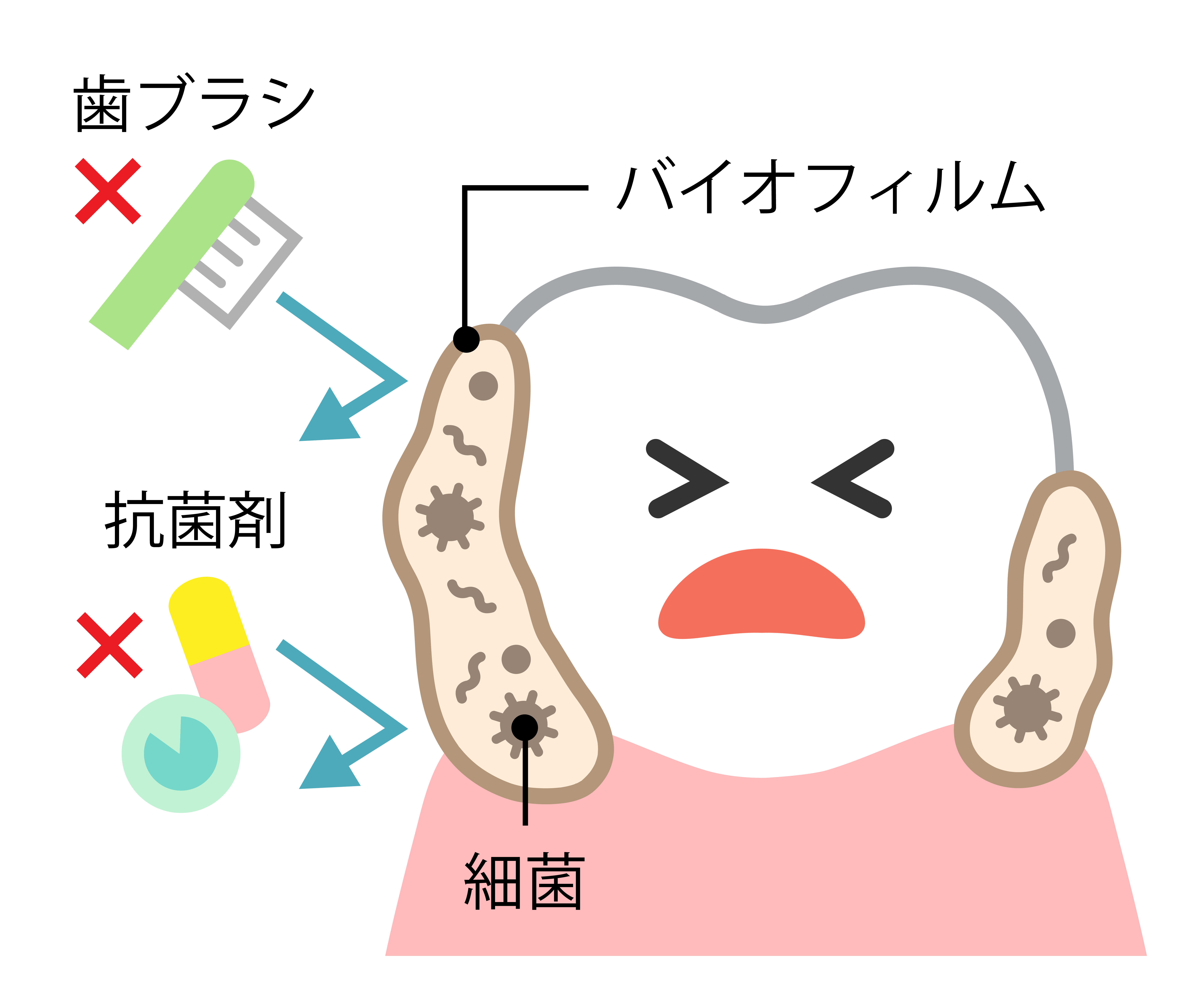 バイオフィルムイメージ