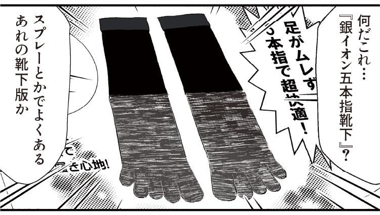 購入してみる