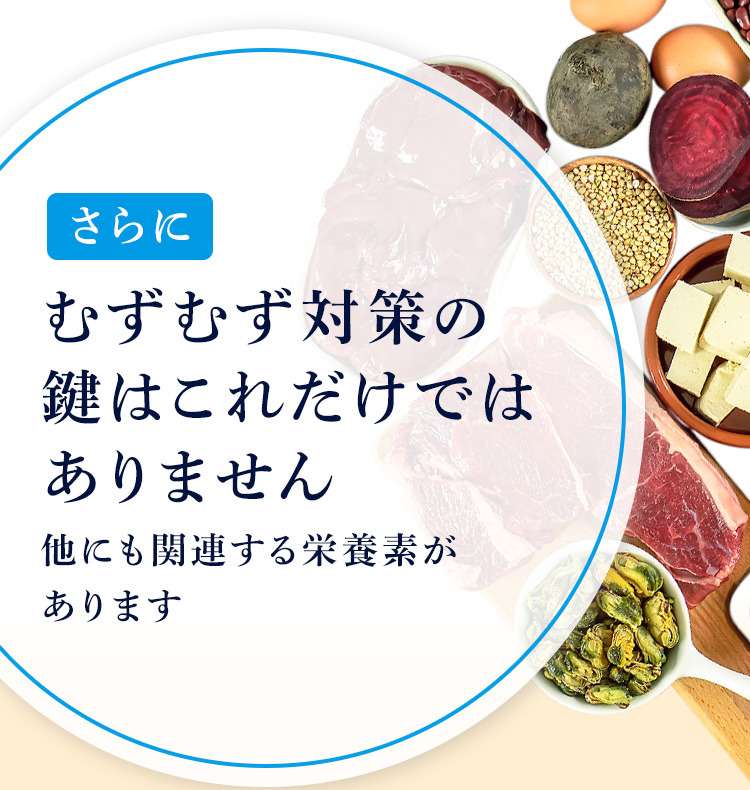 さらにむずむず対策の鍵はこれだけではありません 他にも関連する栄養素があります
