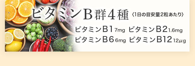 ビタミンB郡4種 ビタミンB1 ビタミンB6 ビタミンB2 ビタミンB12