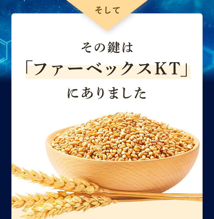 そして その鍵は「ファーベックスKT」にありました
