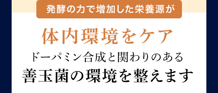 発酵の力で増加した栄養源が 体内環境をケア ドーパミンと関わりのある善玉菌の環境を整えます