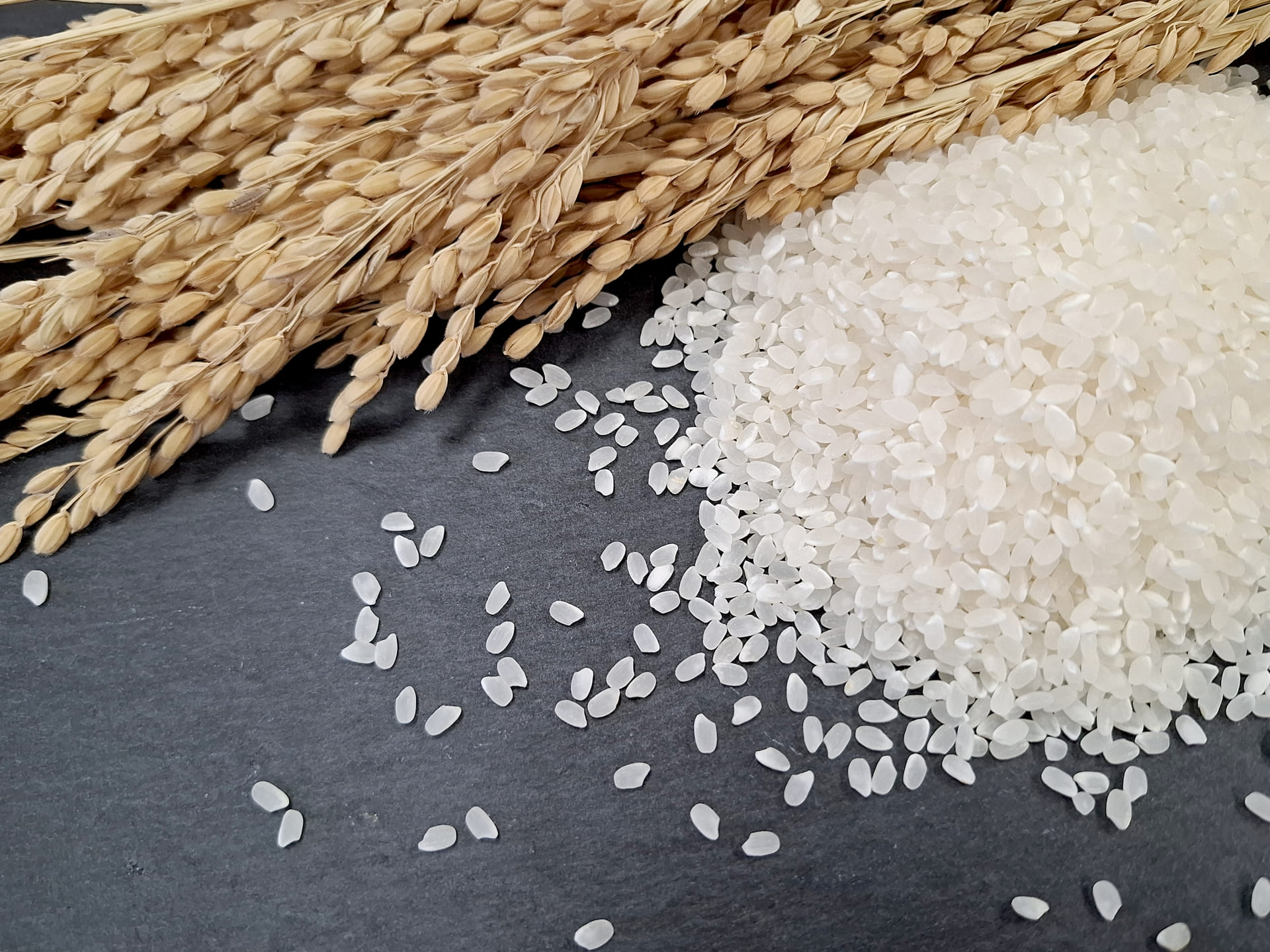 ササニシキの特徴は？向いている料理やおすすめな人の特徴、2つの注意点を解説