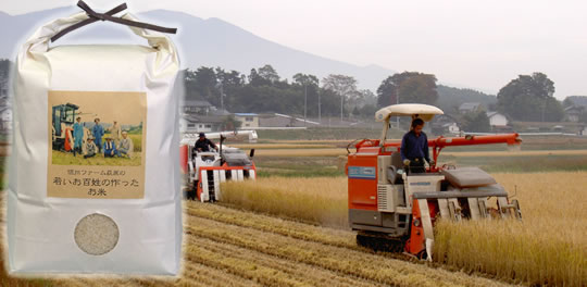 信州ファーム荻原 長野県産コシヒカリ|農地の雑草は除草剤などを使用せずに栽培している
