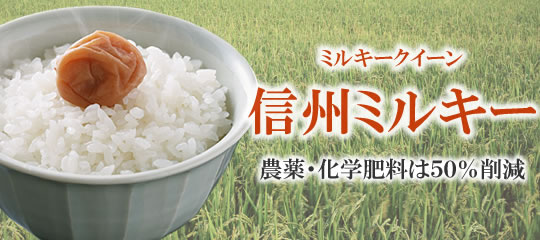 信州ファーム荻原 長野県産ミルキークイーン|粘りと旨みが引き立つ