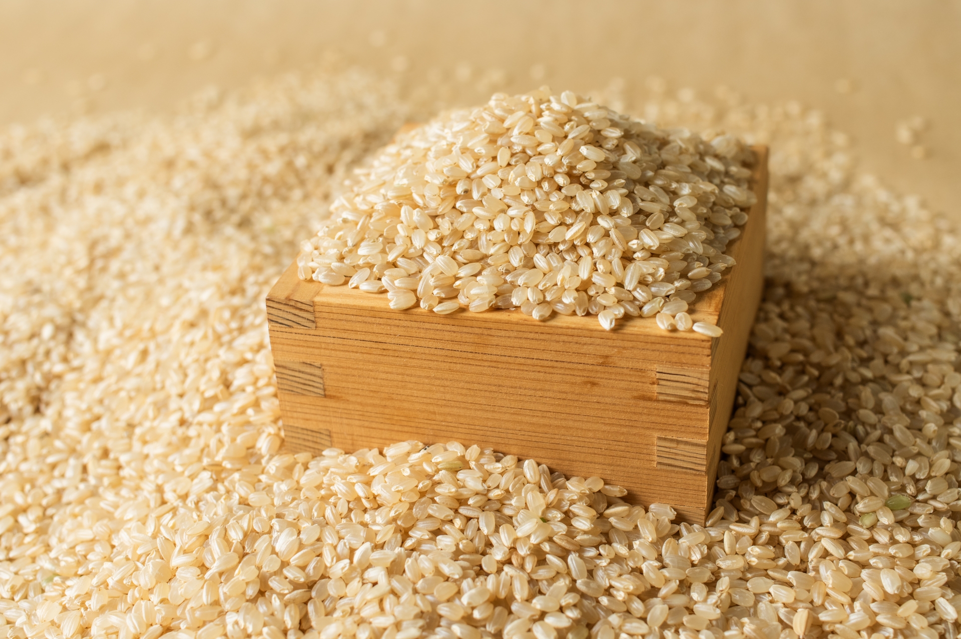 玄米をダイエットに取り入れやすくする食べ方の工夫