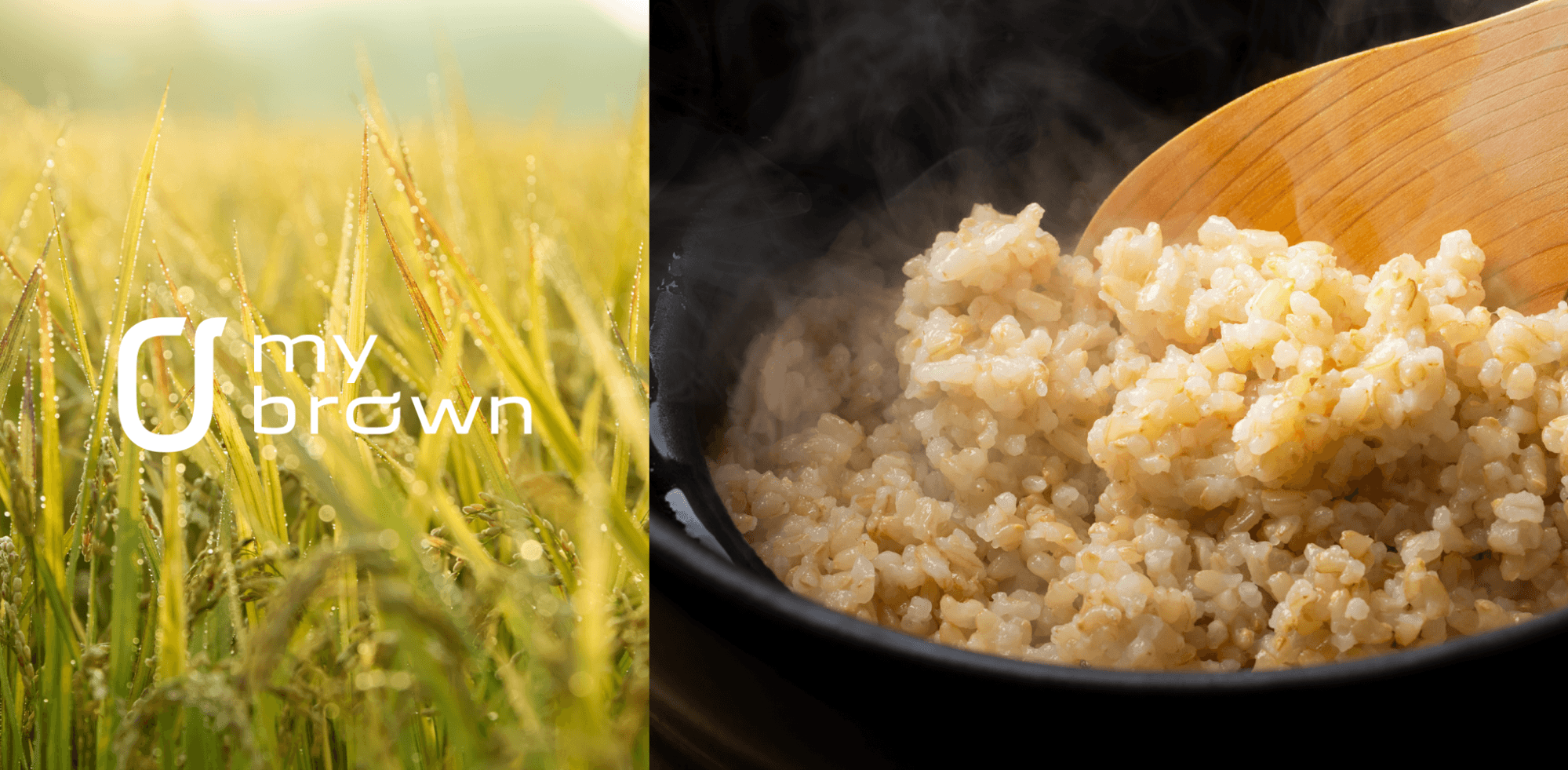 玄米を手軽に食事に取り入れるなら「mybrown」が便利