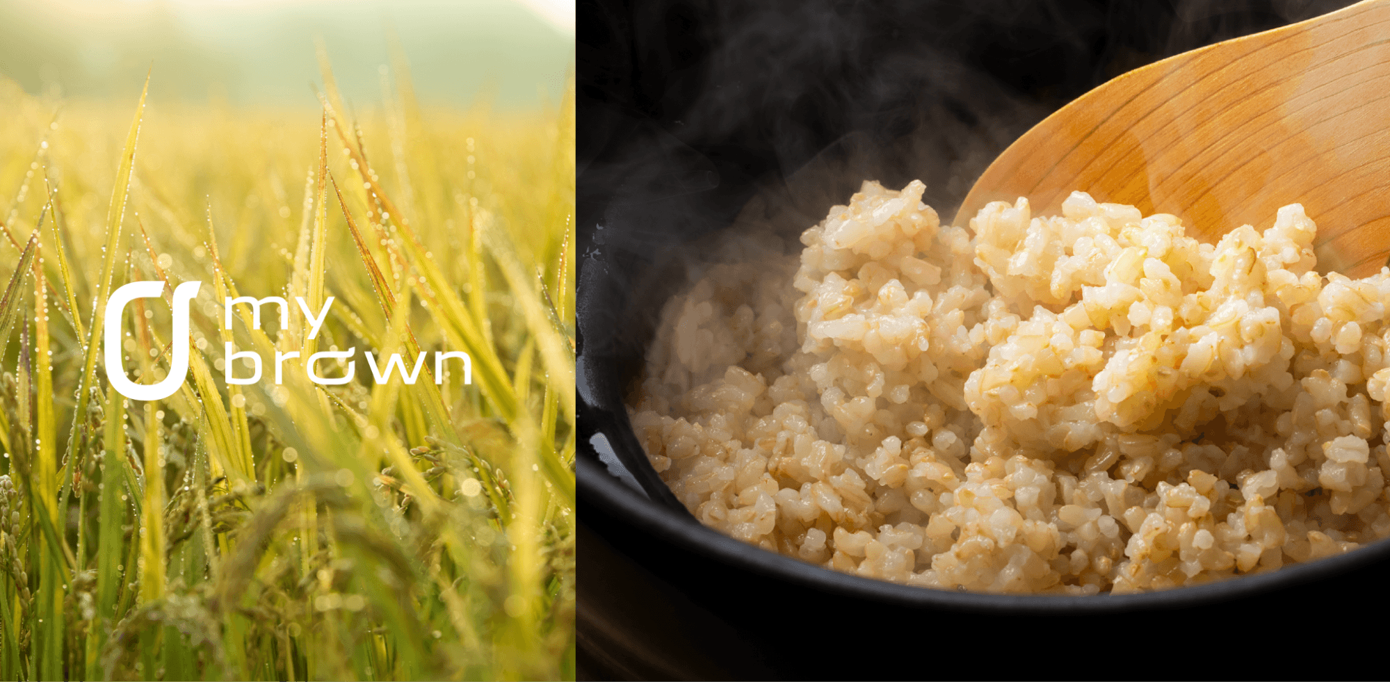 発芽玄米を食生活に取り入れたいなら「mybrown」のサブスクがおすすめ