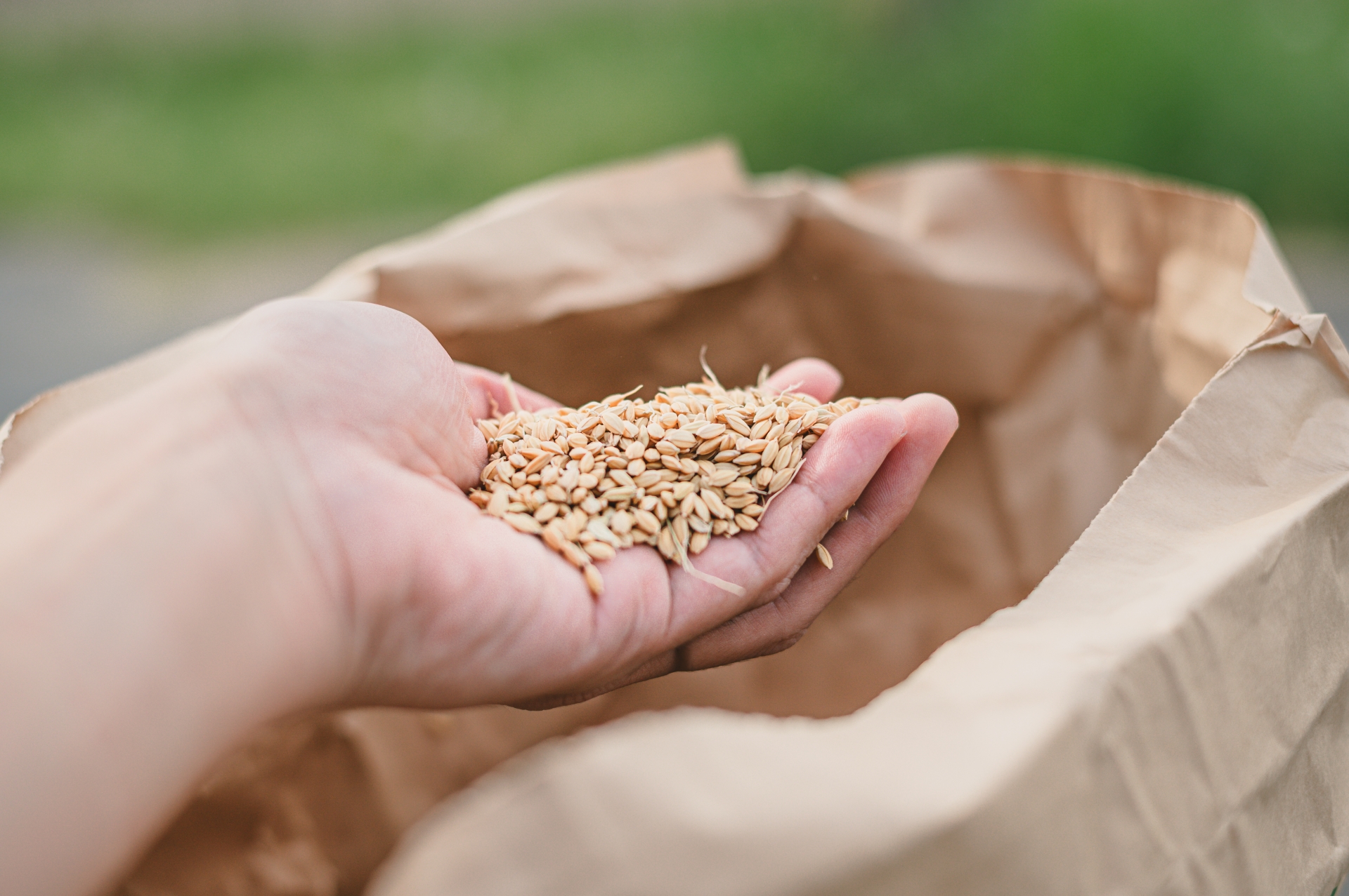 精米・加工の工程を確認する