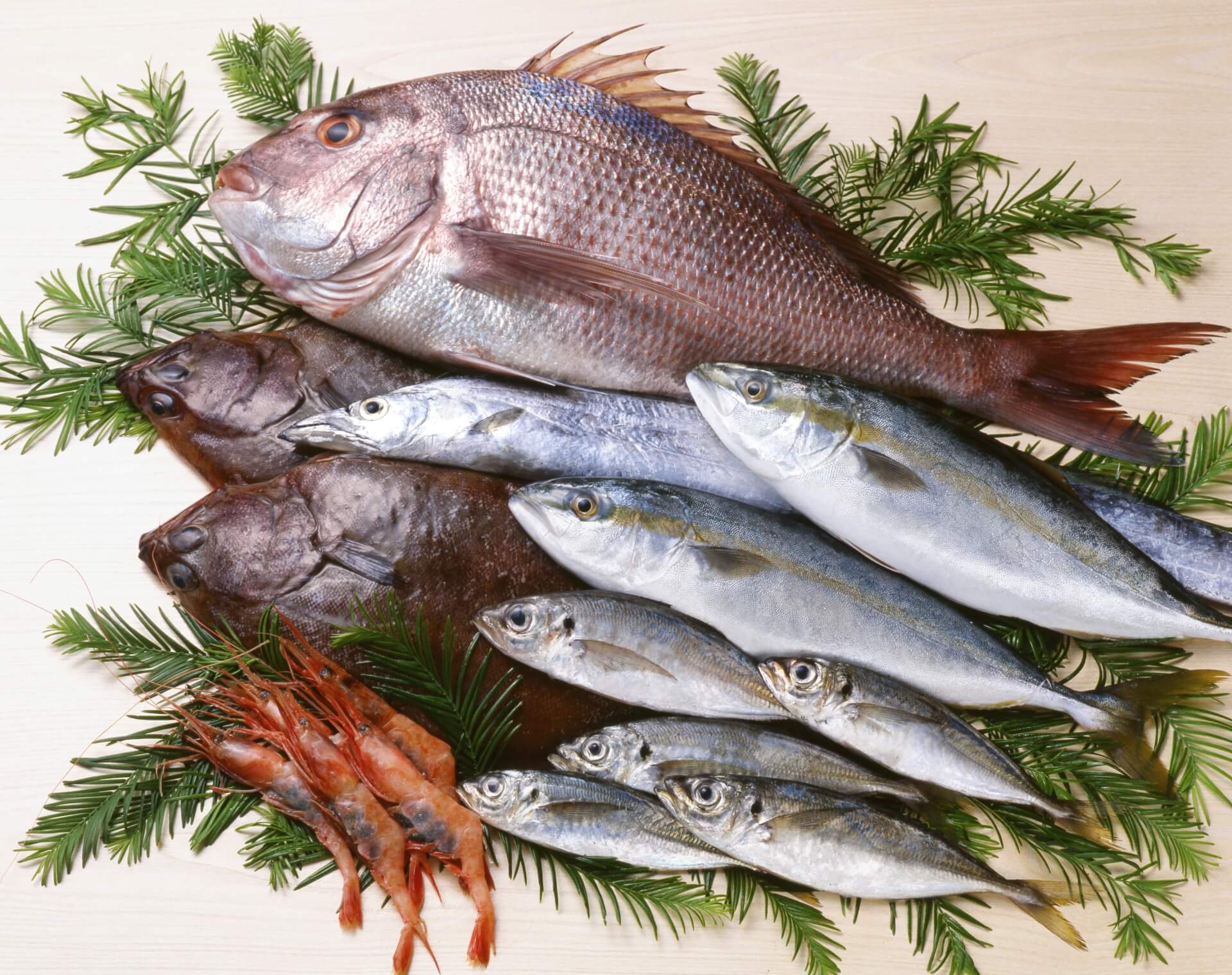 魚介類