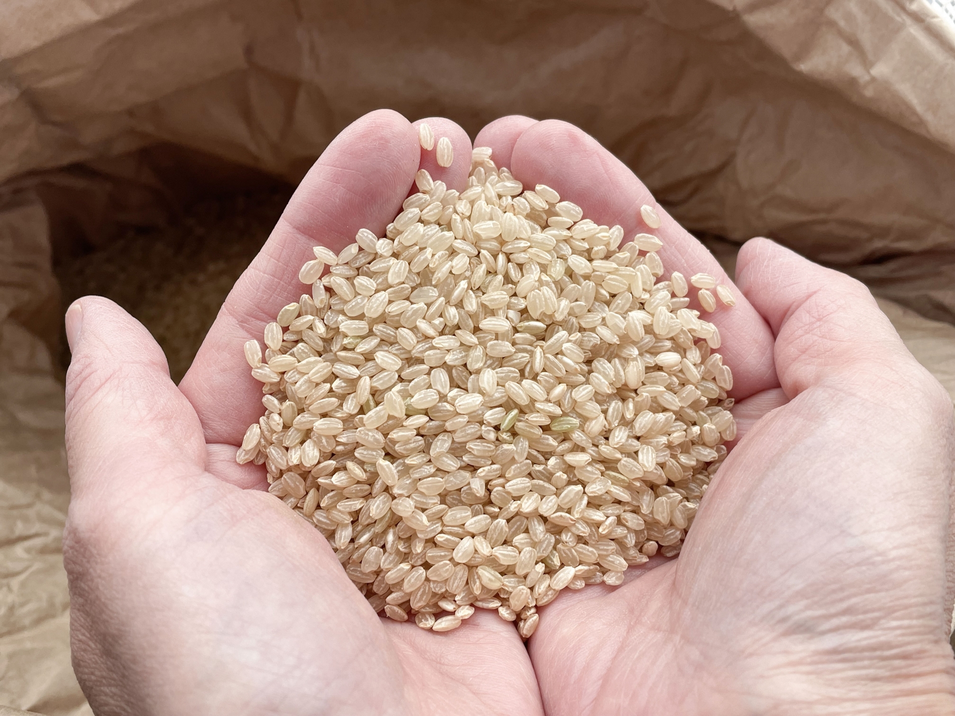 継続しやすい食生活の改善には玄米がおすすめな2つの理由